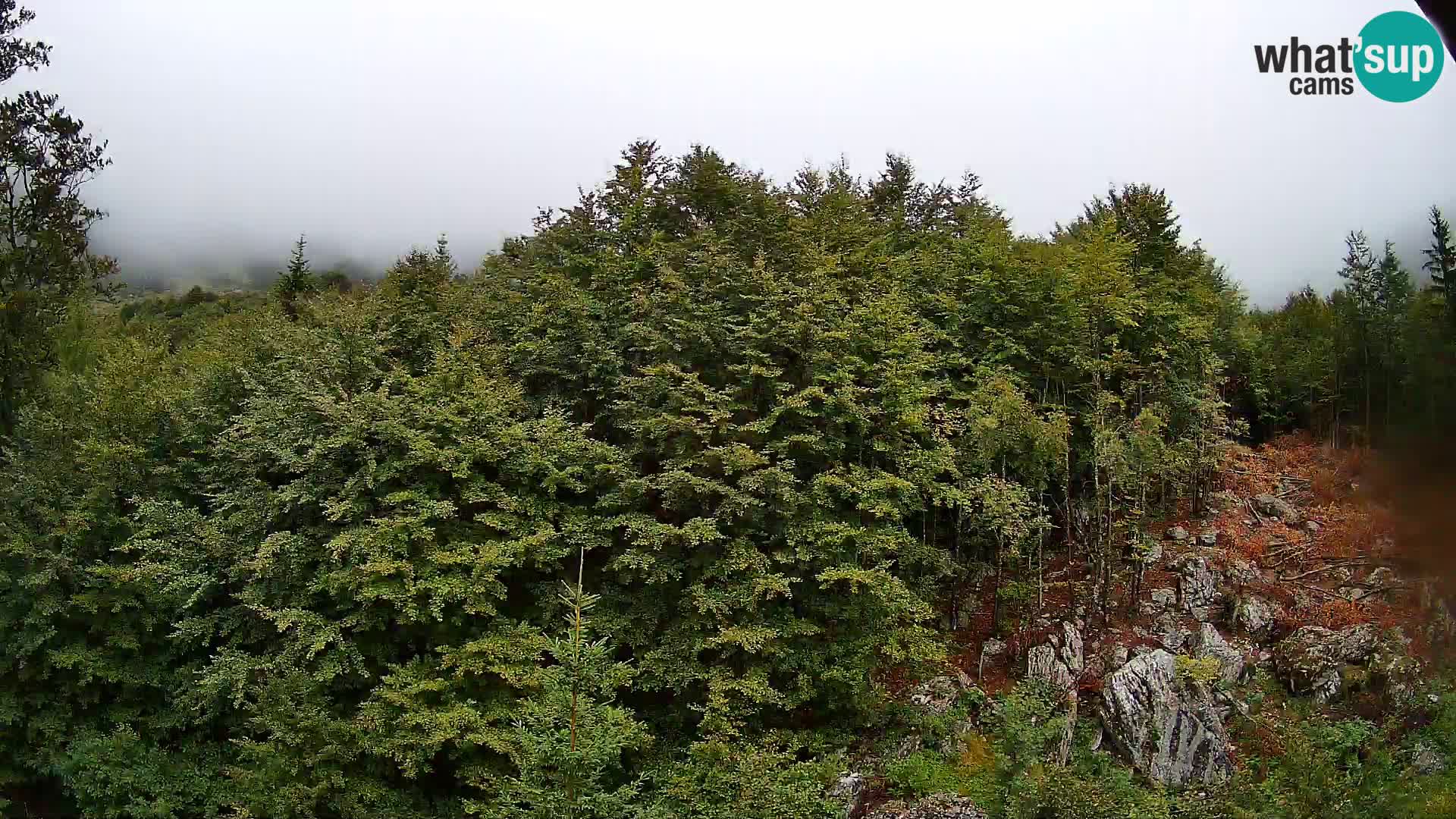 PLANINA RAZOR webcam (1315) | view to Vogel and Globoko