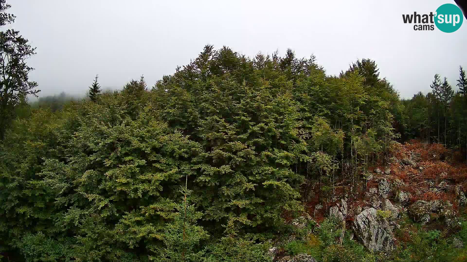 PLANINA RAZOR webcam (1315) | view to Vogel and Globoko