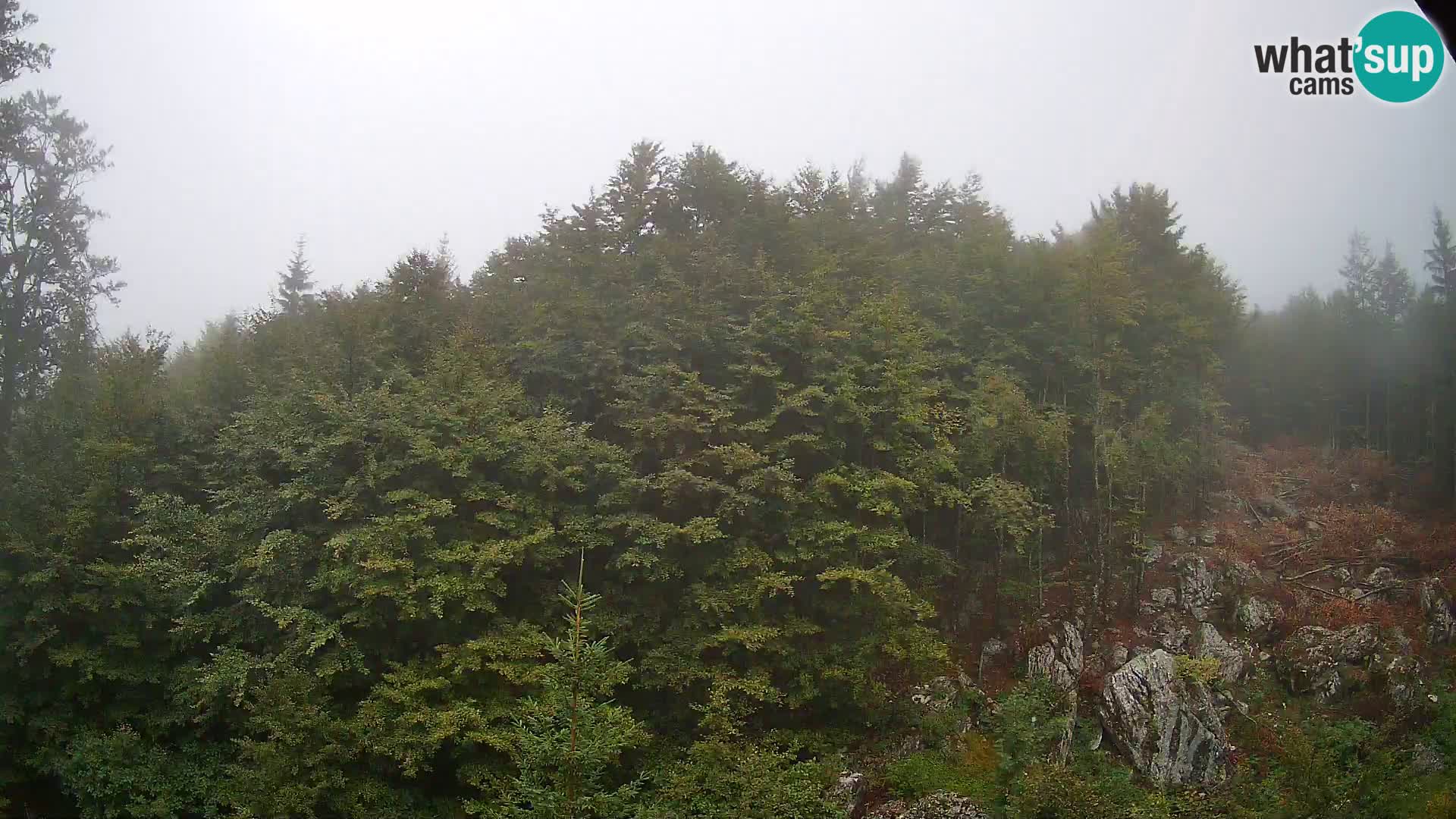 Livecam PLANINA RAZOR (1315) | vue sur Vogel et Globoko
