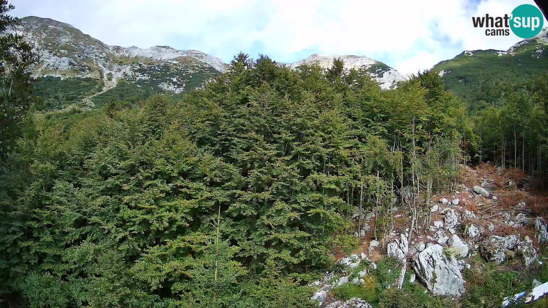 Livecam PLANINA RAZOR (1315) | vue sur Vogel et Globoko