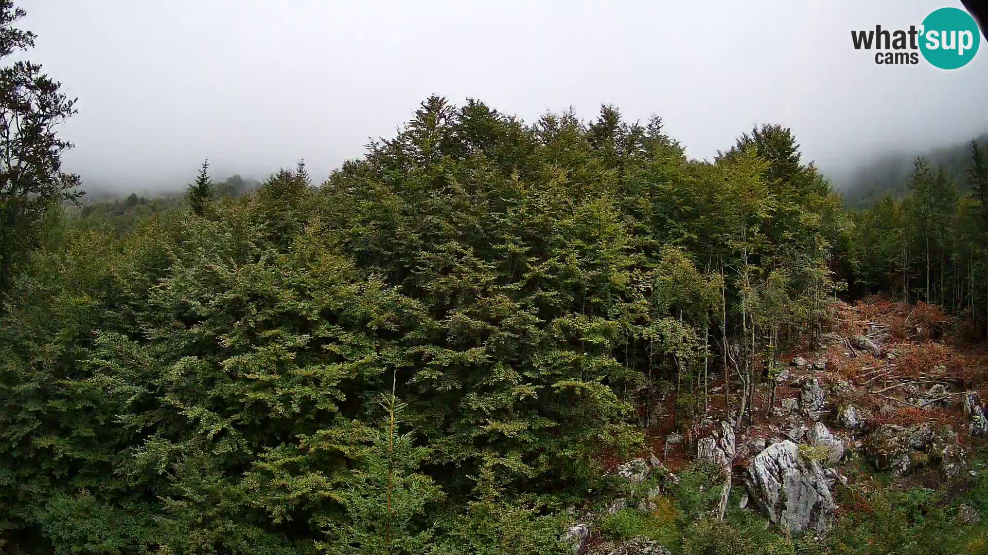 PLANINA RAZOR webcam (1315) | view to Vogel and Globoko