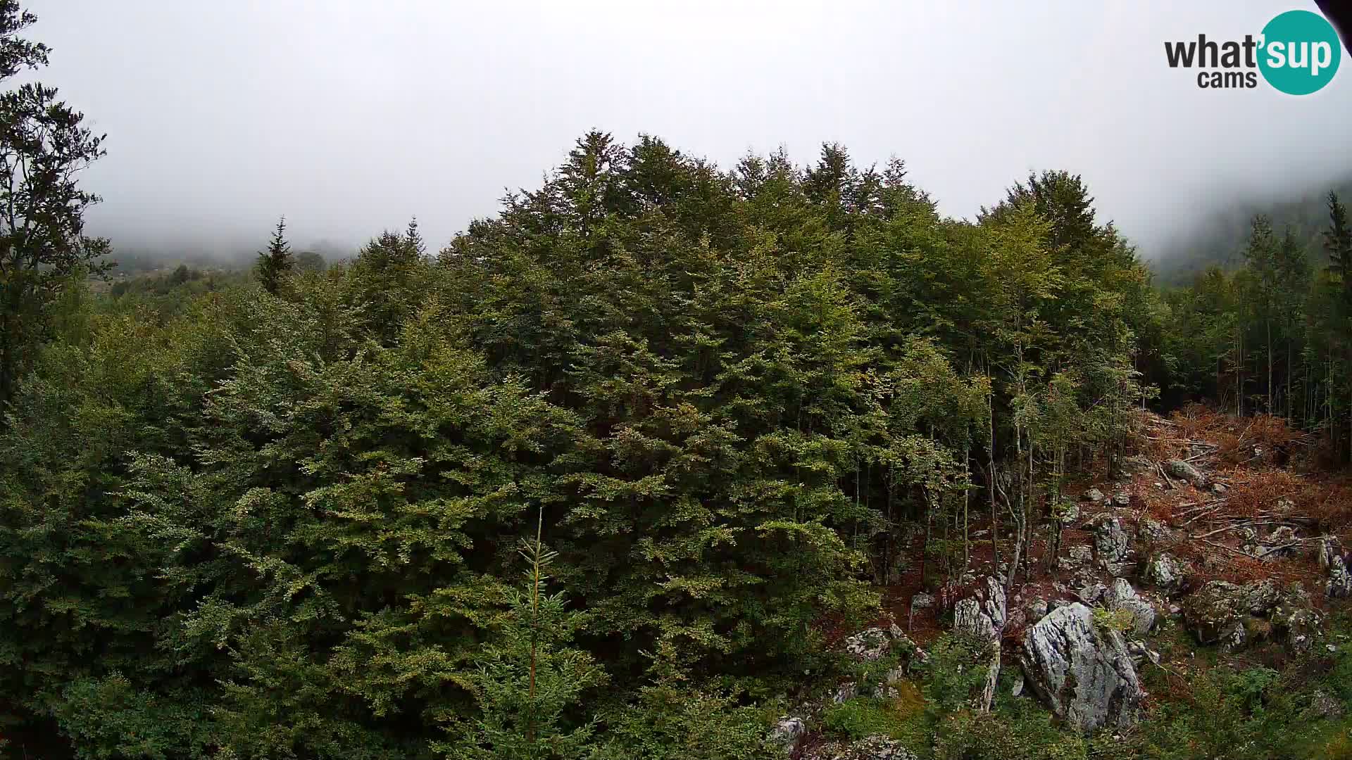 PLANINA RAZOR web kamera (1315) | pogled na Vogel i Globoko
