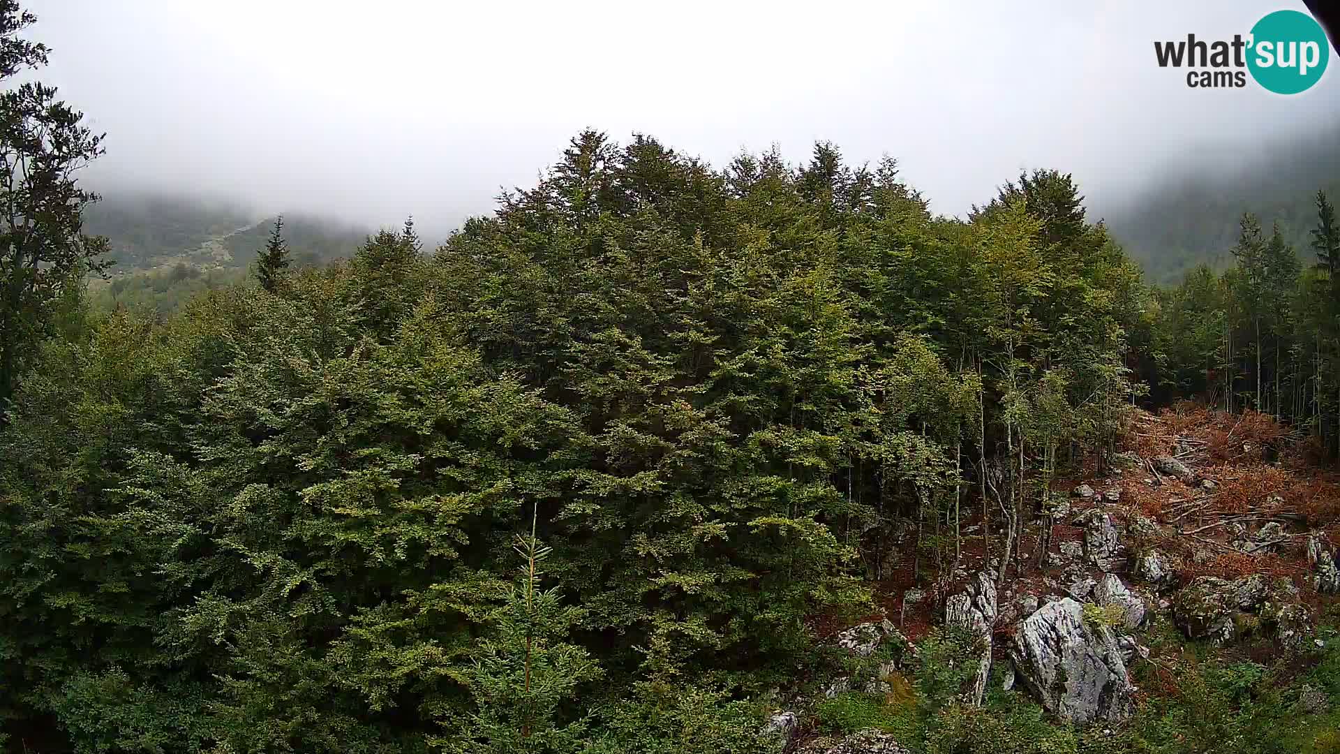 PLANINA RAZOR web kamera (1315) | pogled na Vogel i Globoko