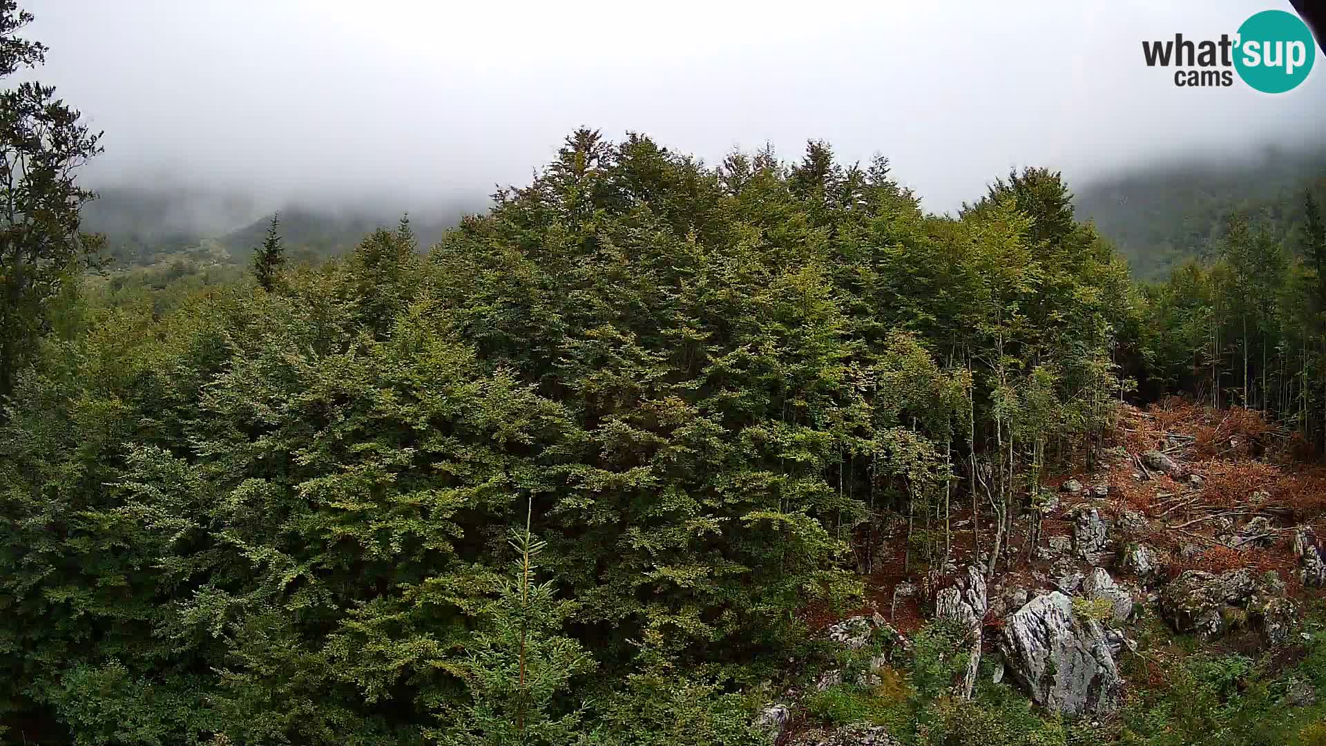 PLANINA RAZOR webcam (1315) | view to Vogel and Globoko