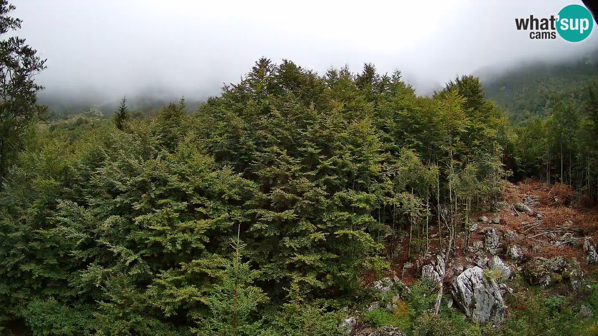 Webcam PLANINA RAZOR (1315) | Blick auf Vogel und Globoko