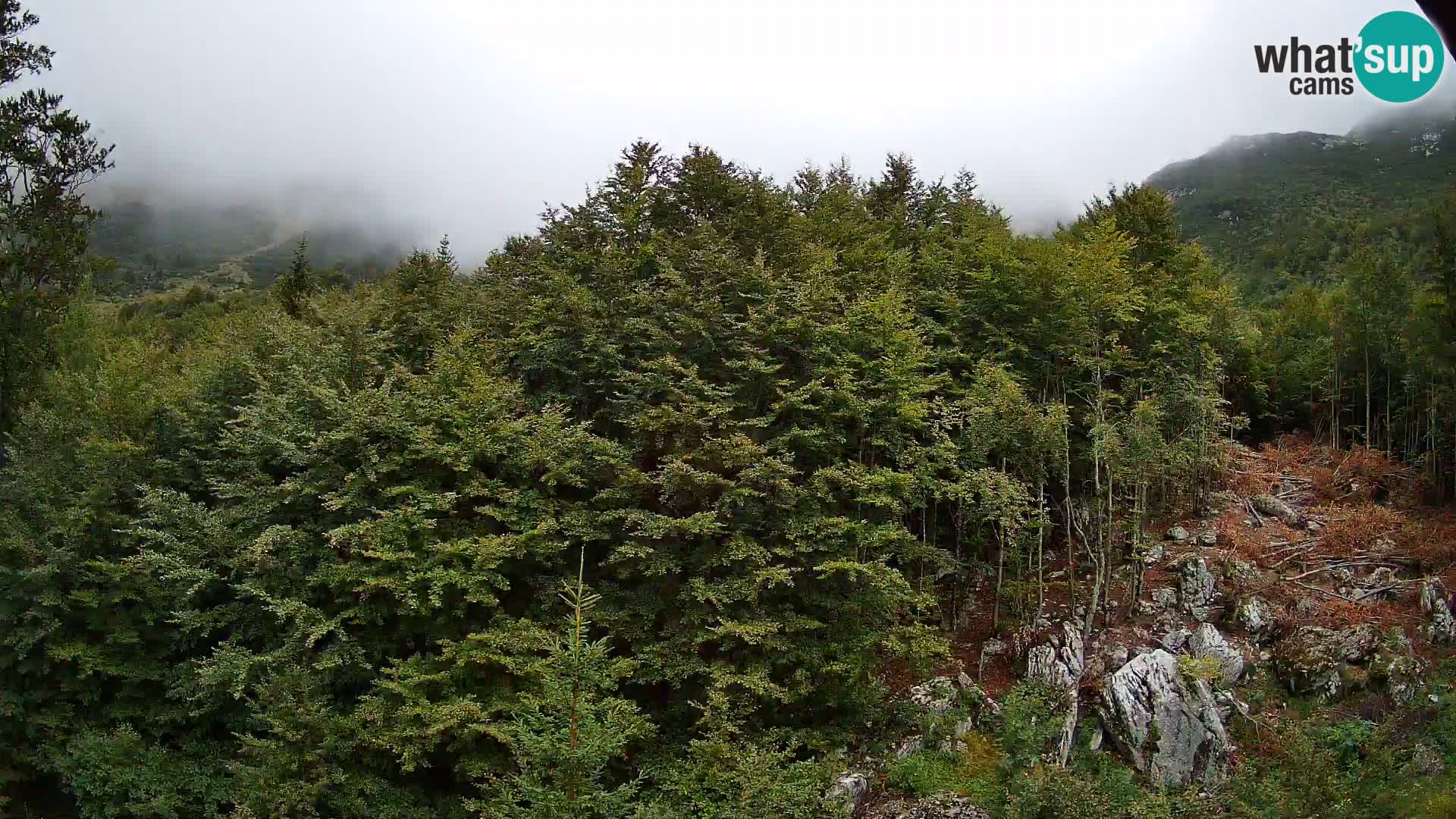 Webcam PLANINA RAZOR (1315) | Blick auf Vogel und Globoko