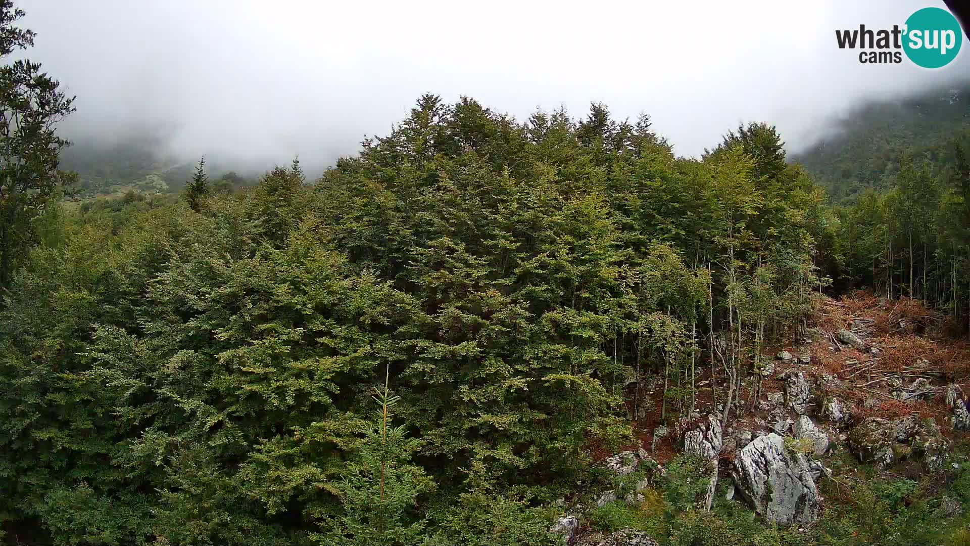Webcam PLANINA RAZOR (1315) | Blick auf Vogel und Globoko