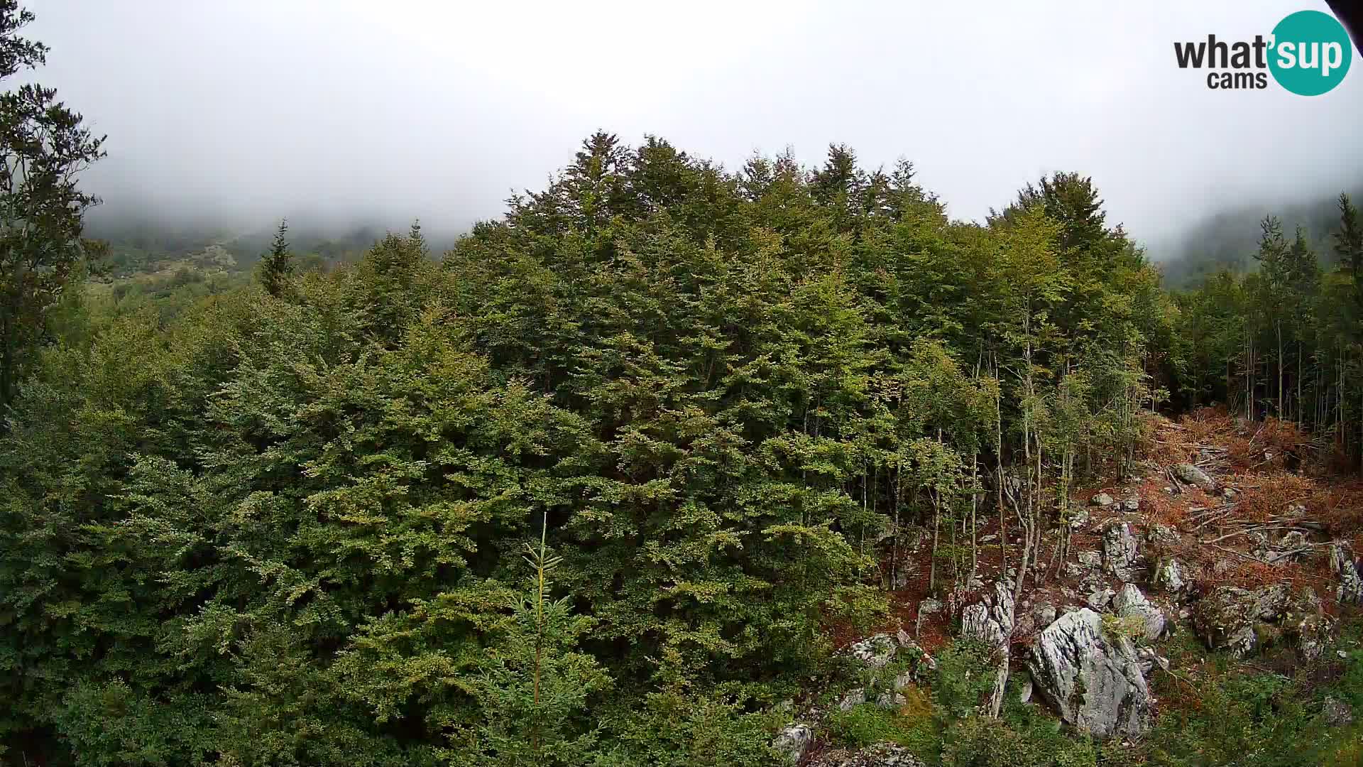Livecam PLANINA RAZOR (1315) | vue sur Vogel et Globoko