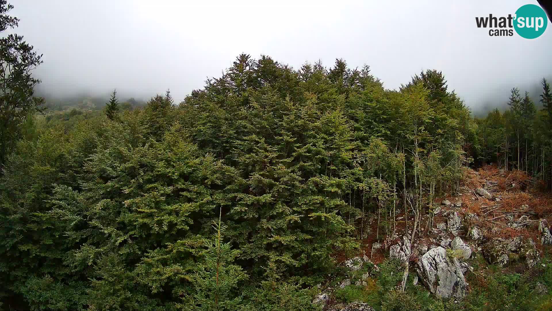 Webcam PLANINA RAZOR (1315) | Blick auf Vogel und Globoko