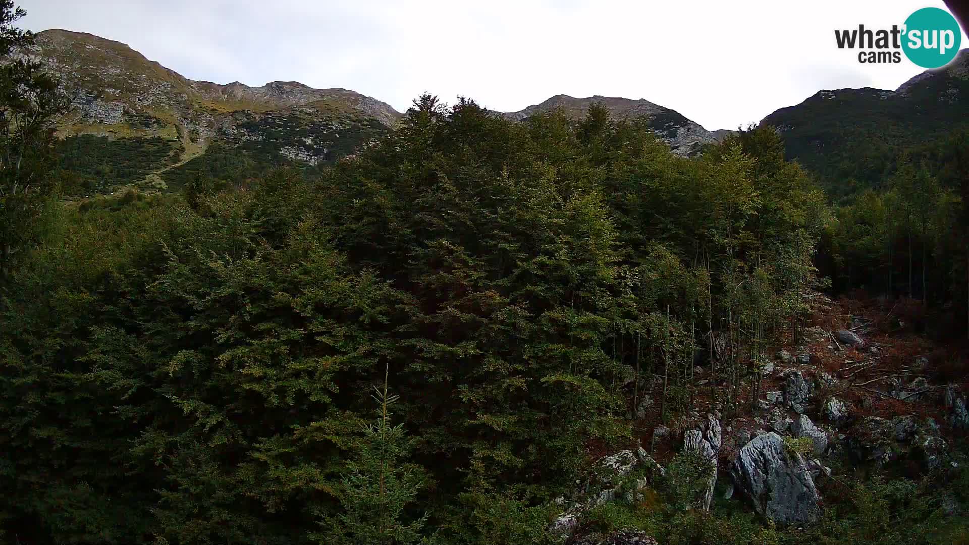 PLANINA RAZOR webcam (1315) | view to Vogel and Globoko