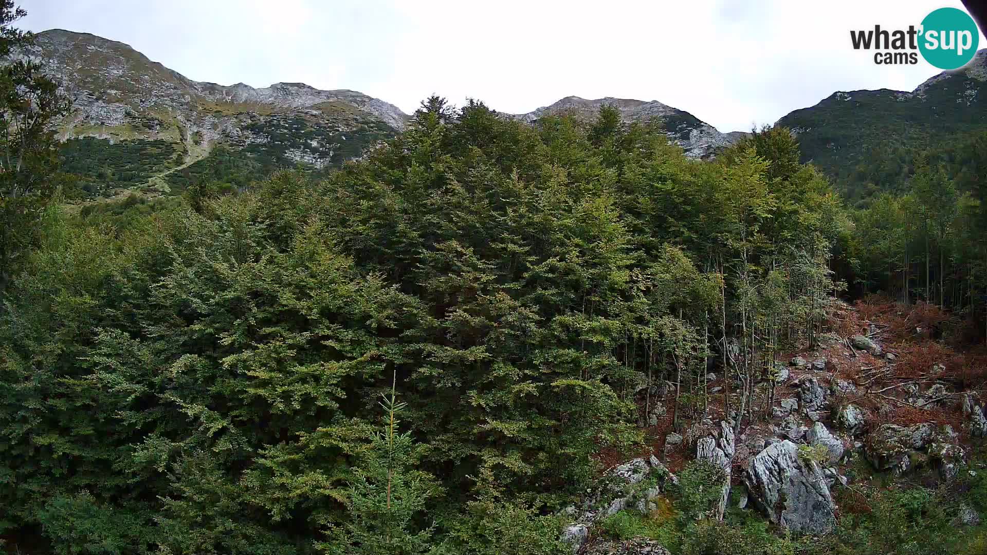 PLANINA RAZOR webcam (1315) | view to Vogel and Globoko