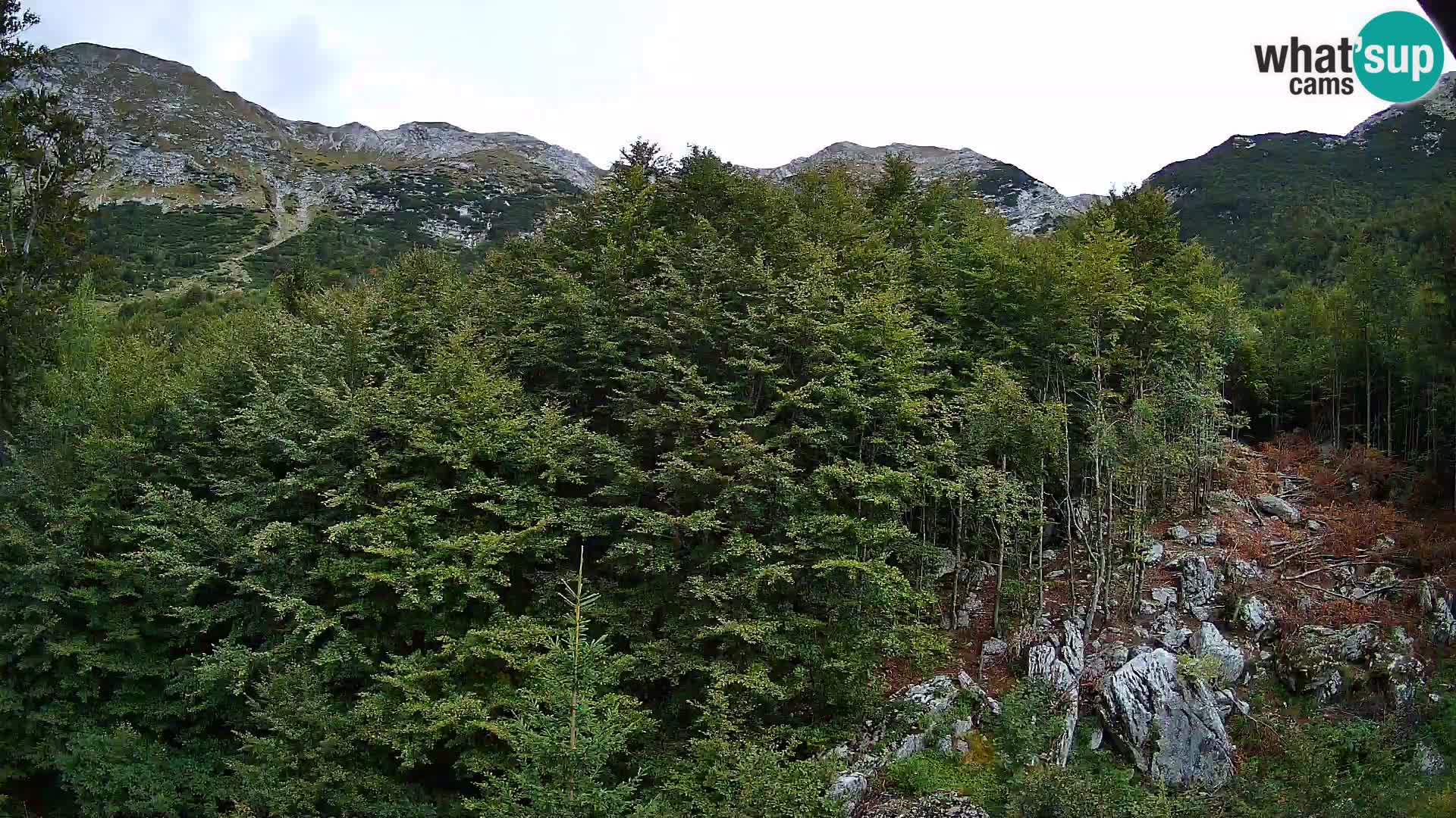 PLANINA RAZOR webcam (1315) | view to Vogel and Globoko
