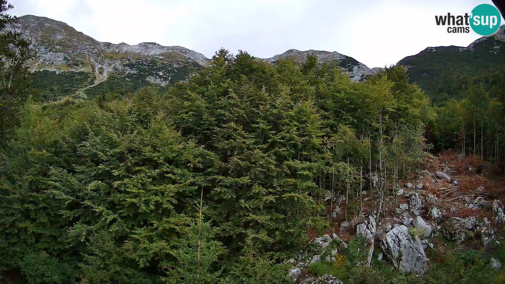 PLANINA RAZOR webcam (1315) | view to Vogel and Globoko