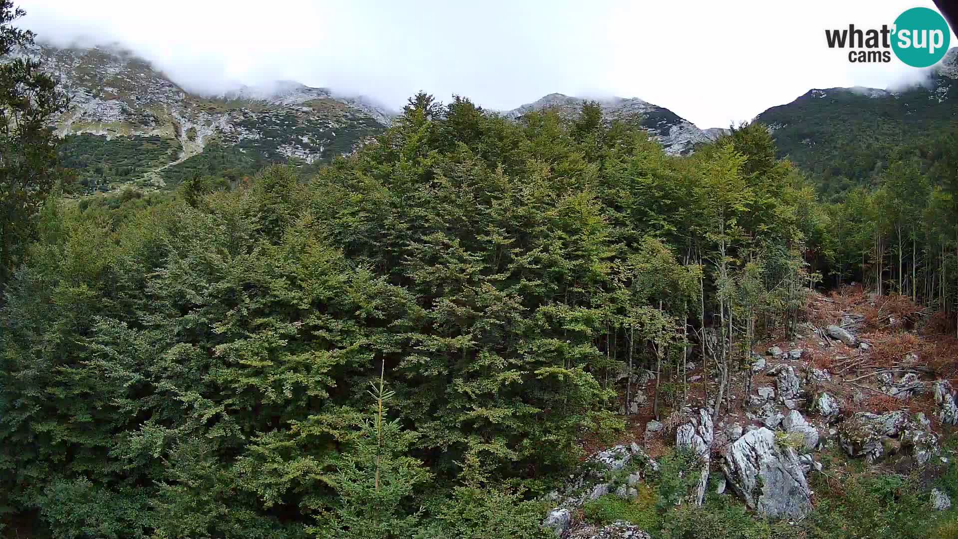 Cámara web PLANINA RAZOR (1315) | vista a Vogel y Globoko
