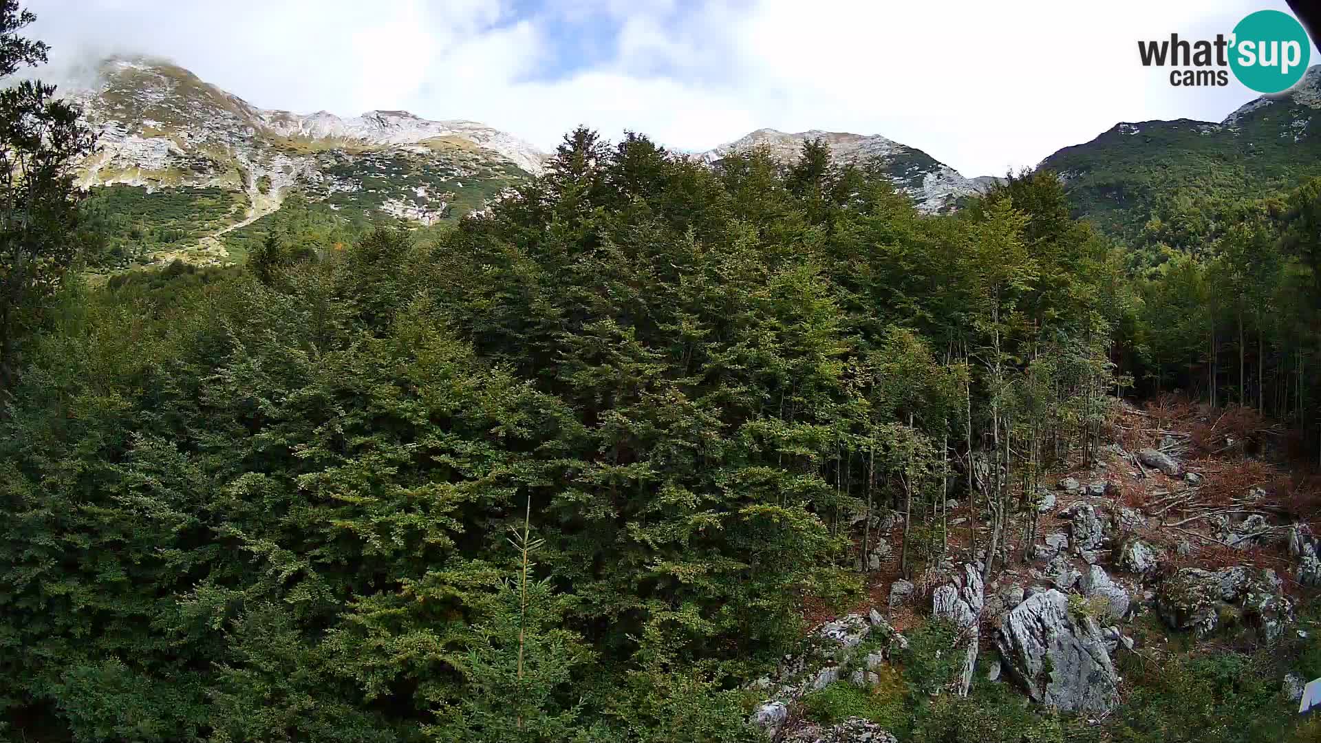 Livecam PLANINA RAZOR (1315) | vue sur Vogel et Globoko