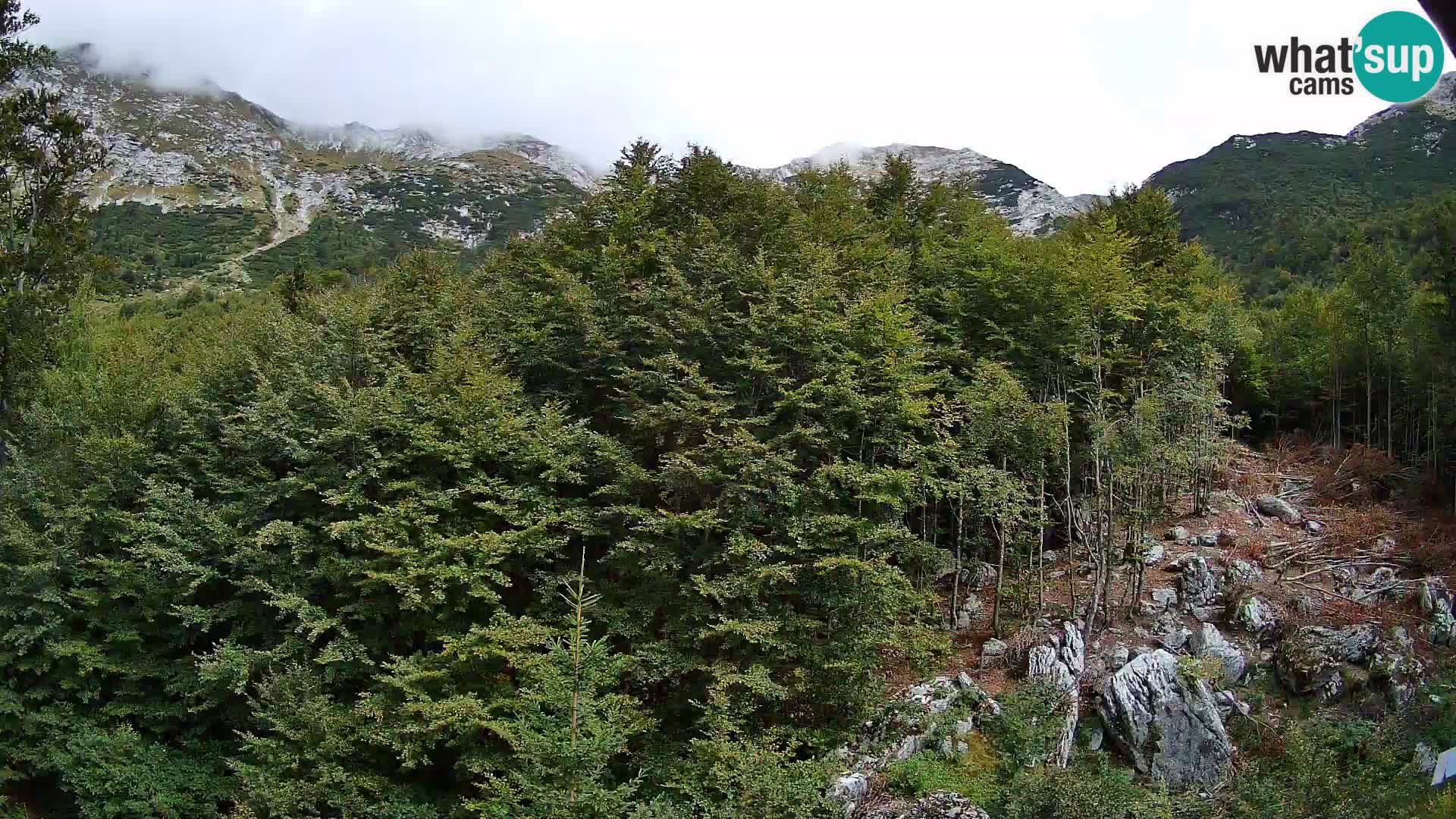 PLANINA RAZOR kamera (1315) | pogled na Vogel in Globoko