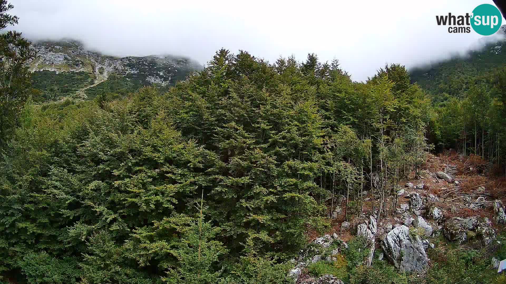 PLANINA RAZOR web kamera (1315) | pogled na Vogel i Globoko