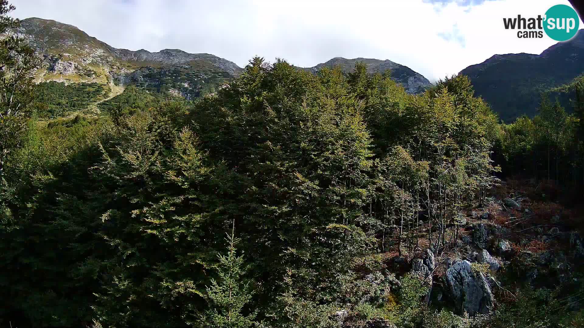 PLANINA RAZOR kamera (1315) | pogled na Vogel in Globoko