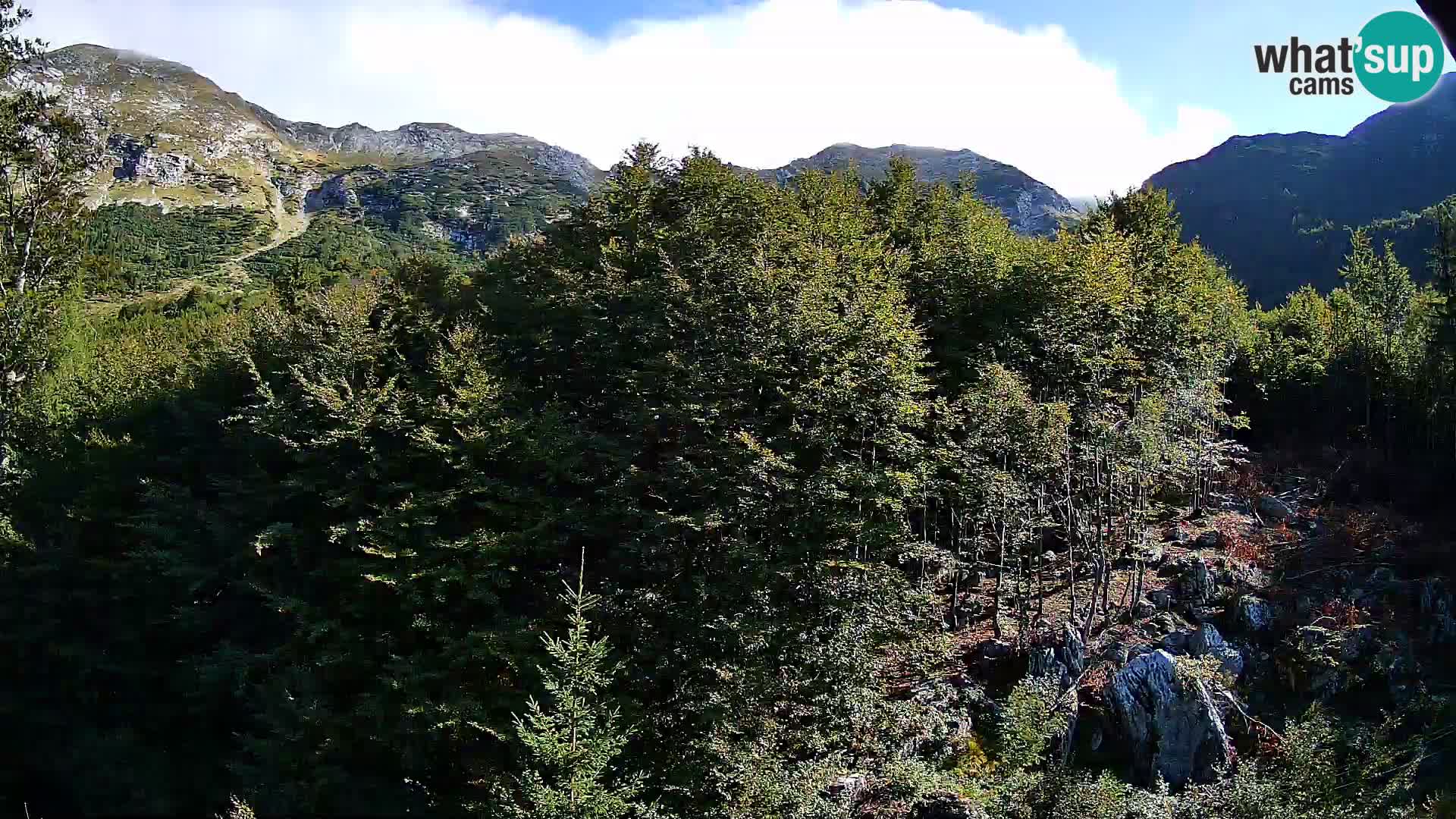 PLANINA RAZOR webcam (1315) | view to Vogel and Globoko