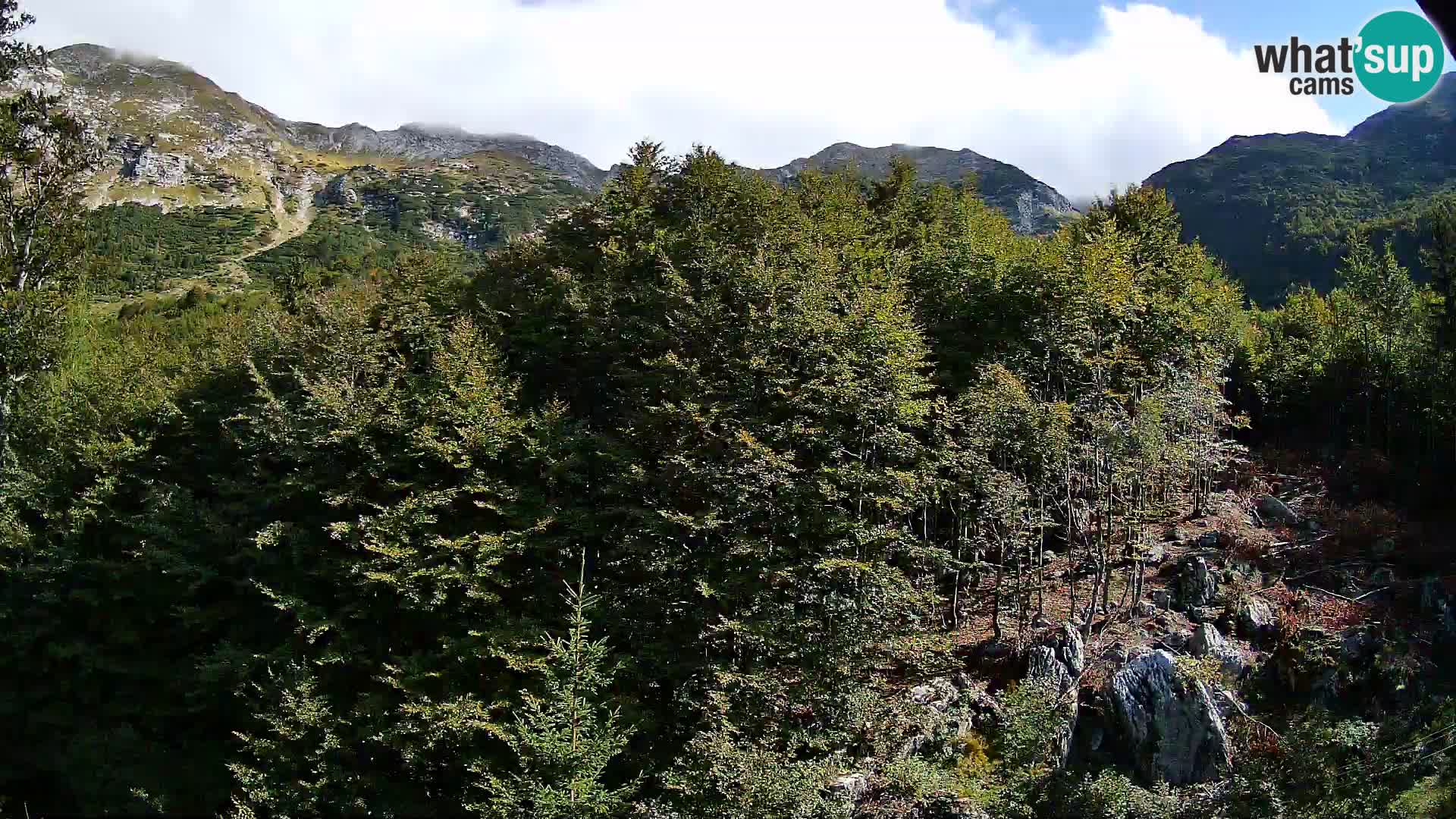 PLANINA RAZOR Live Cam (1315) | vista su Vogel e Globoko