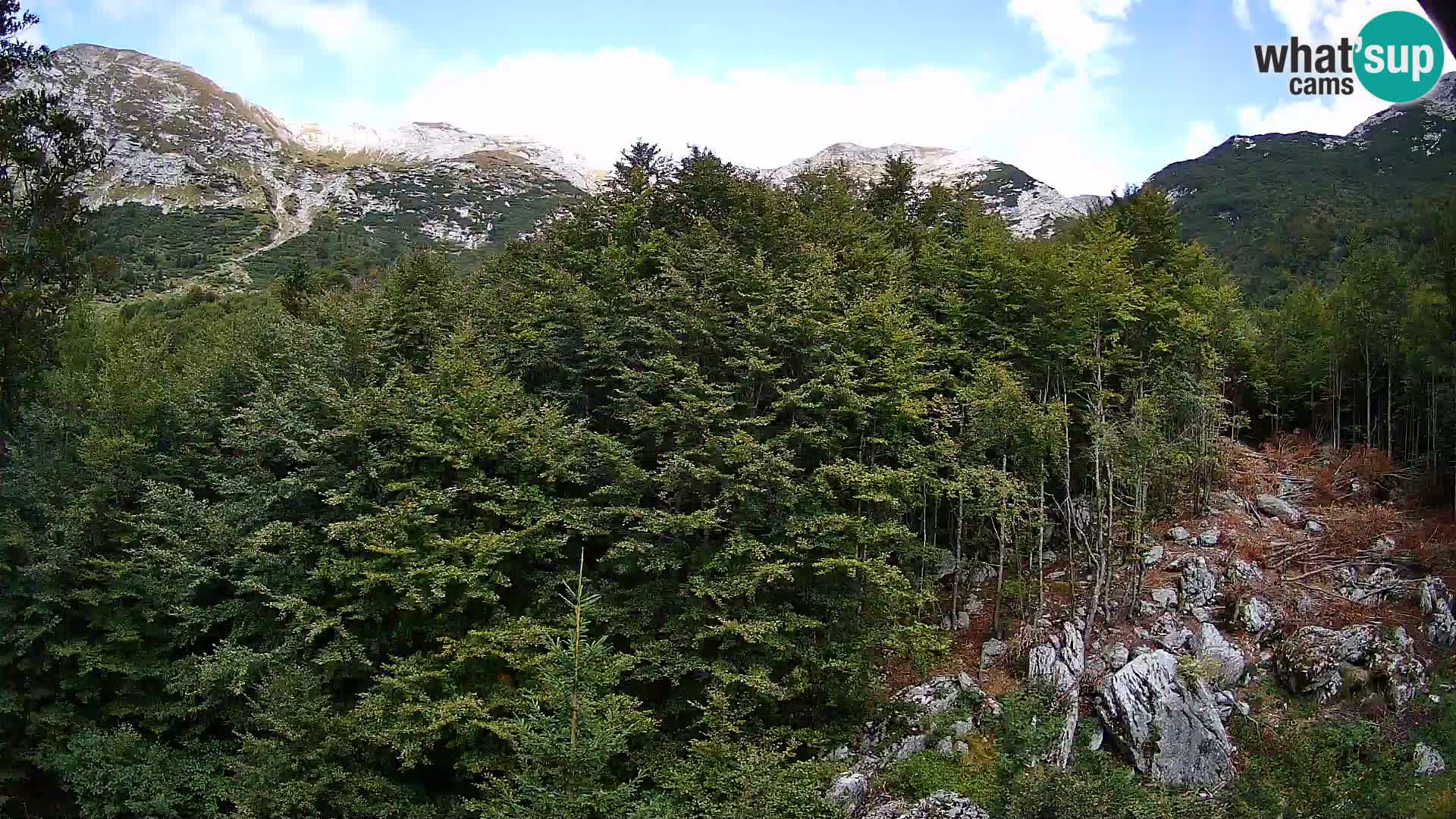 PLANINA RAZOR webcam (1315) | view to Vogel and Globoko