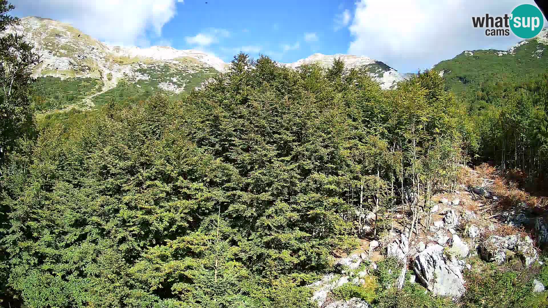 PLANINA RAZOR webcam (1315) | view to Vogel and Globoko