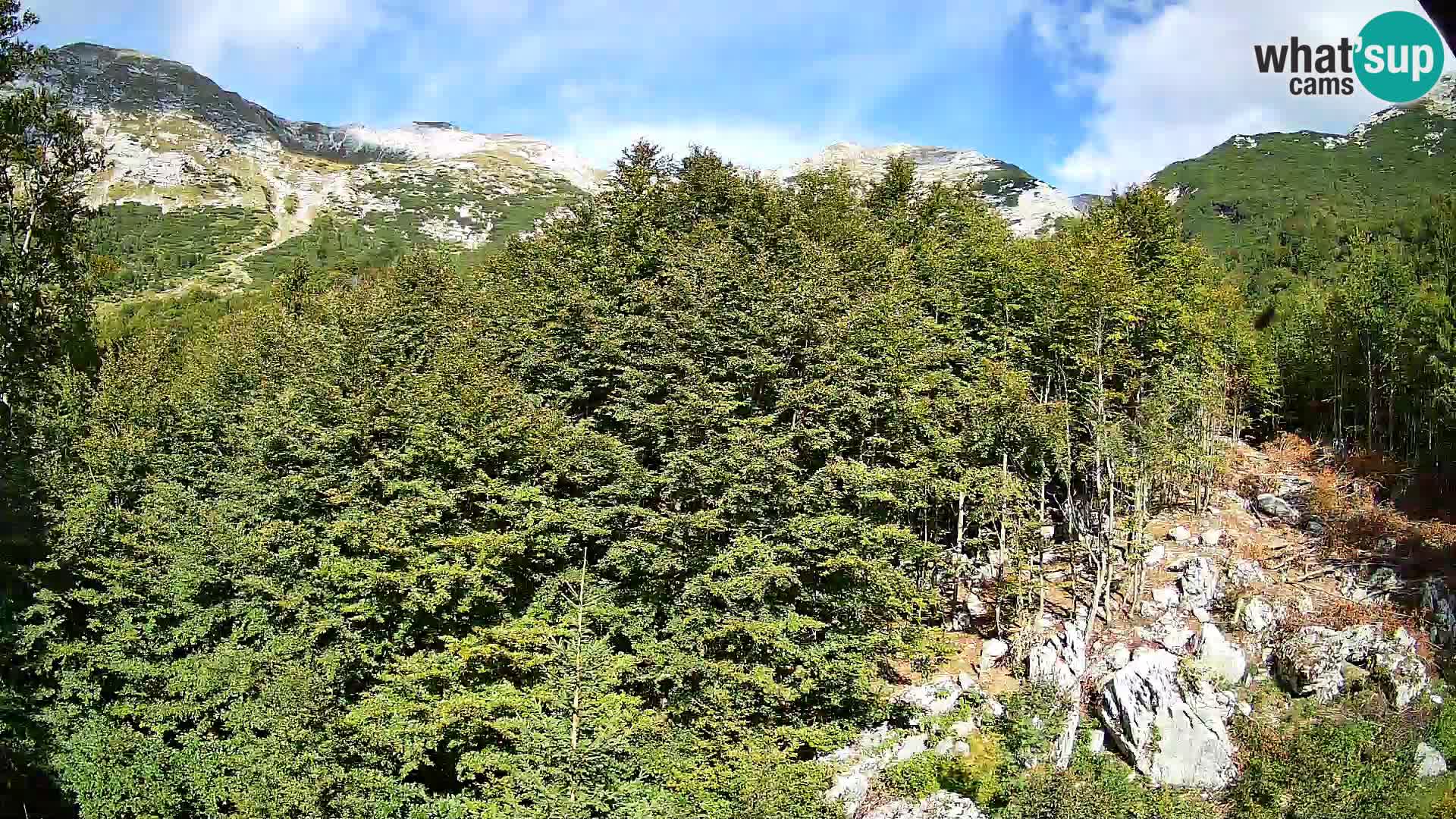 Webcam PLANINA RAZOR (1315) | Blick auf Vogel und Globoko