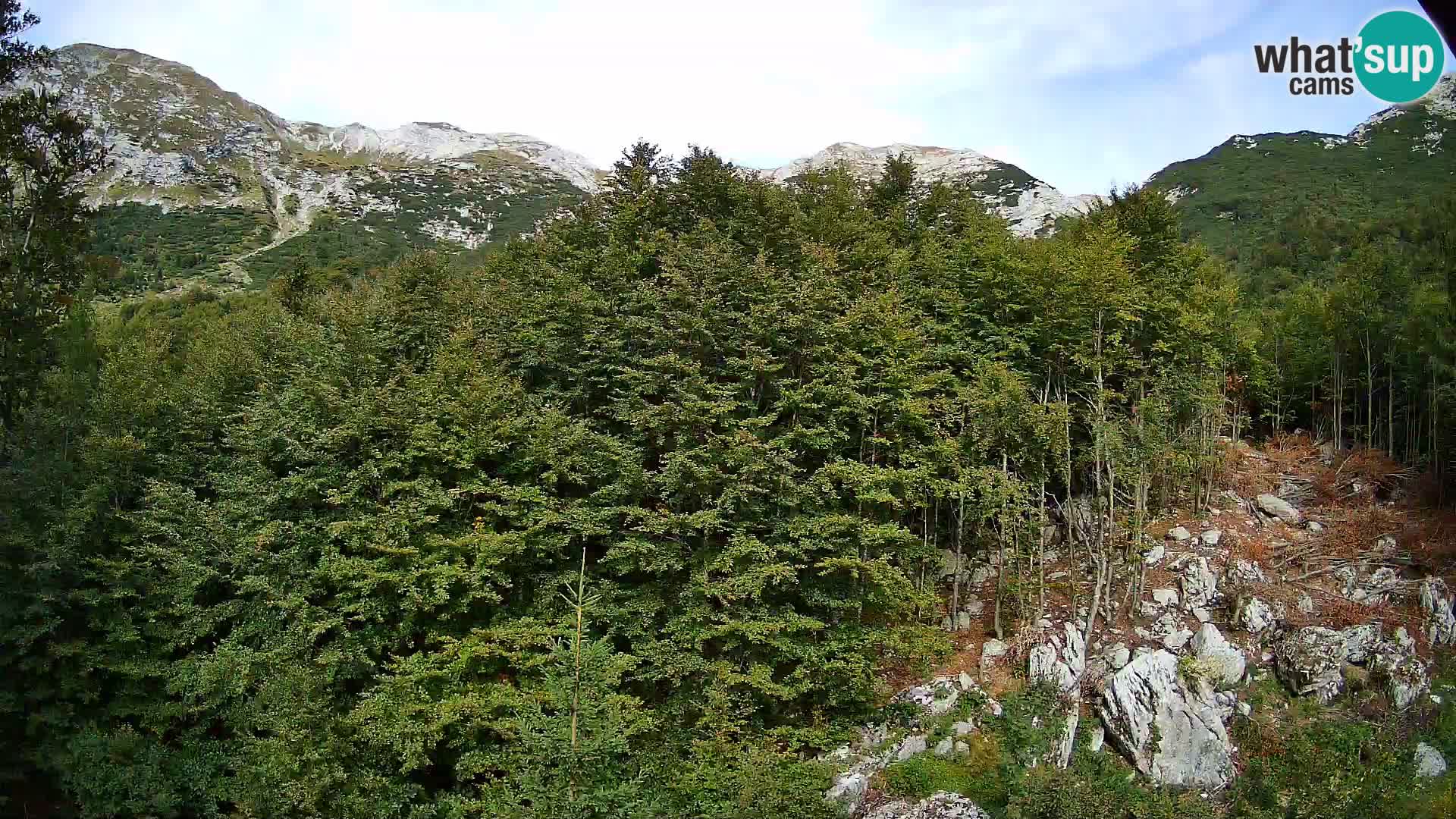 PLANINA RAZOR Live Cam (1315) | vista su Vogel e Globoko