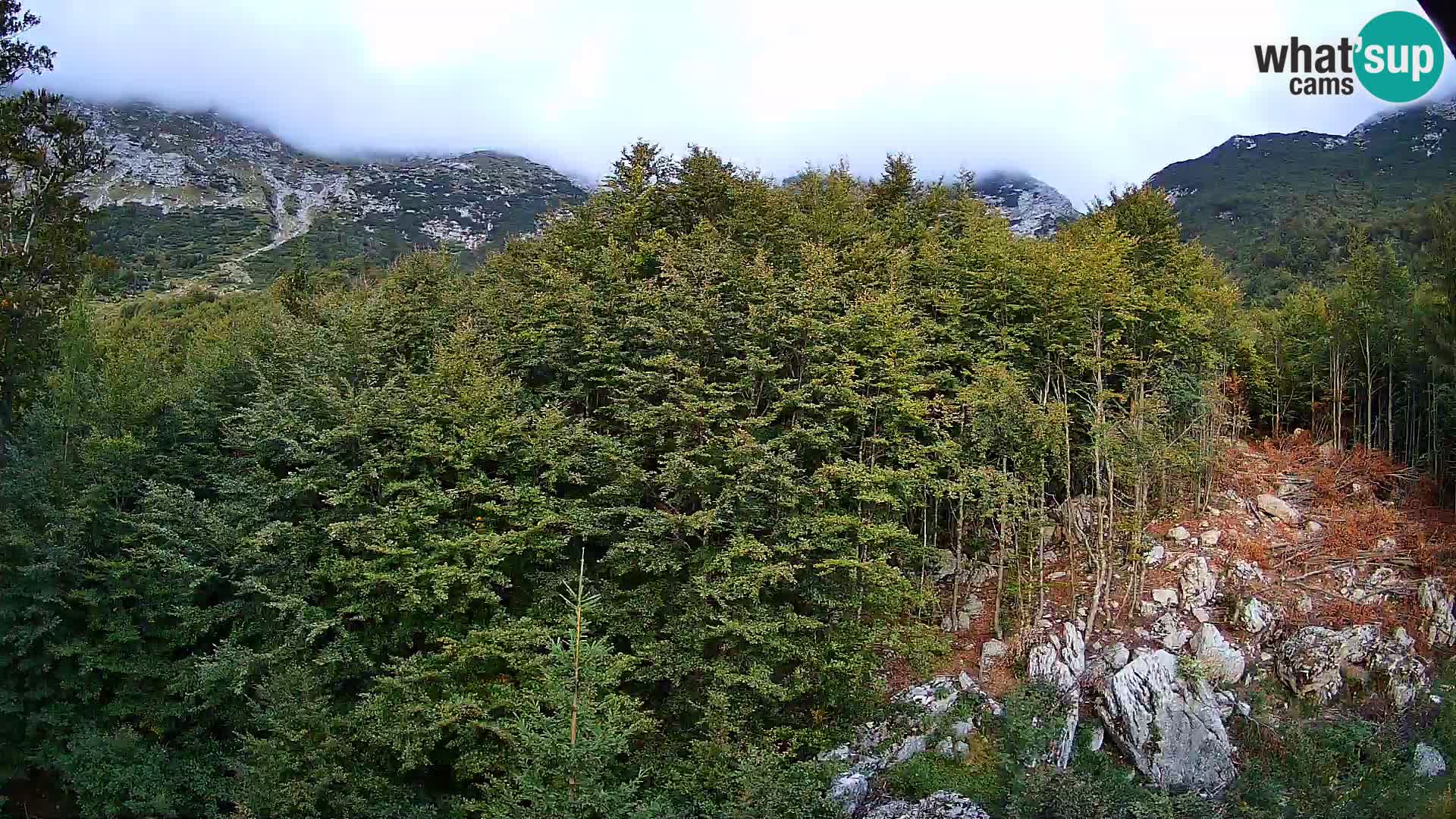 Webcam PLANINA RAZOR (1315) | Blick auf Vogel und Globoko