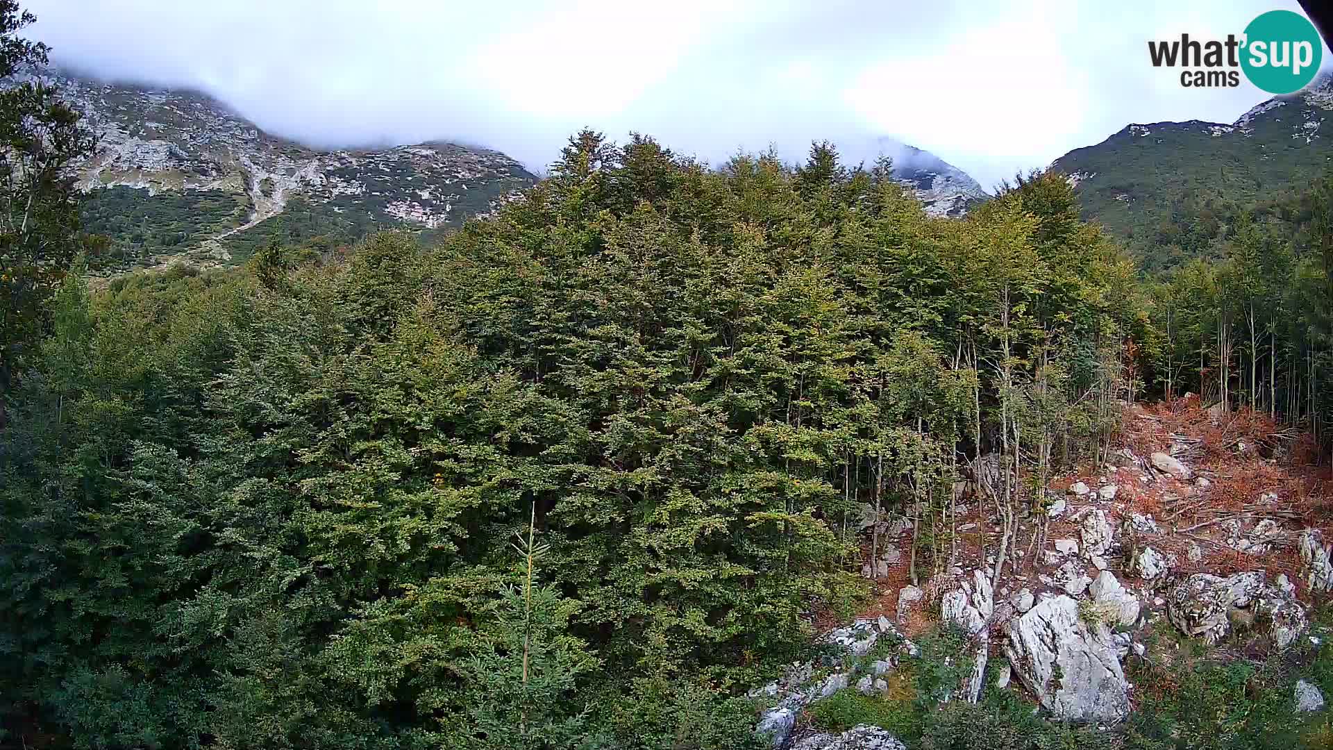 Webcam PLANINA RAZOR (1315) | Blick auf Vogel und Globoko