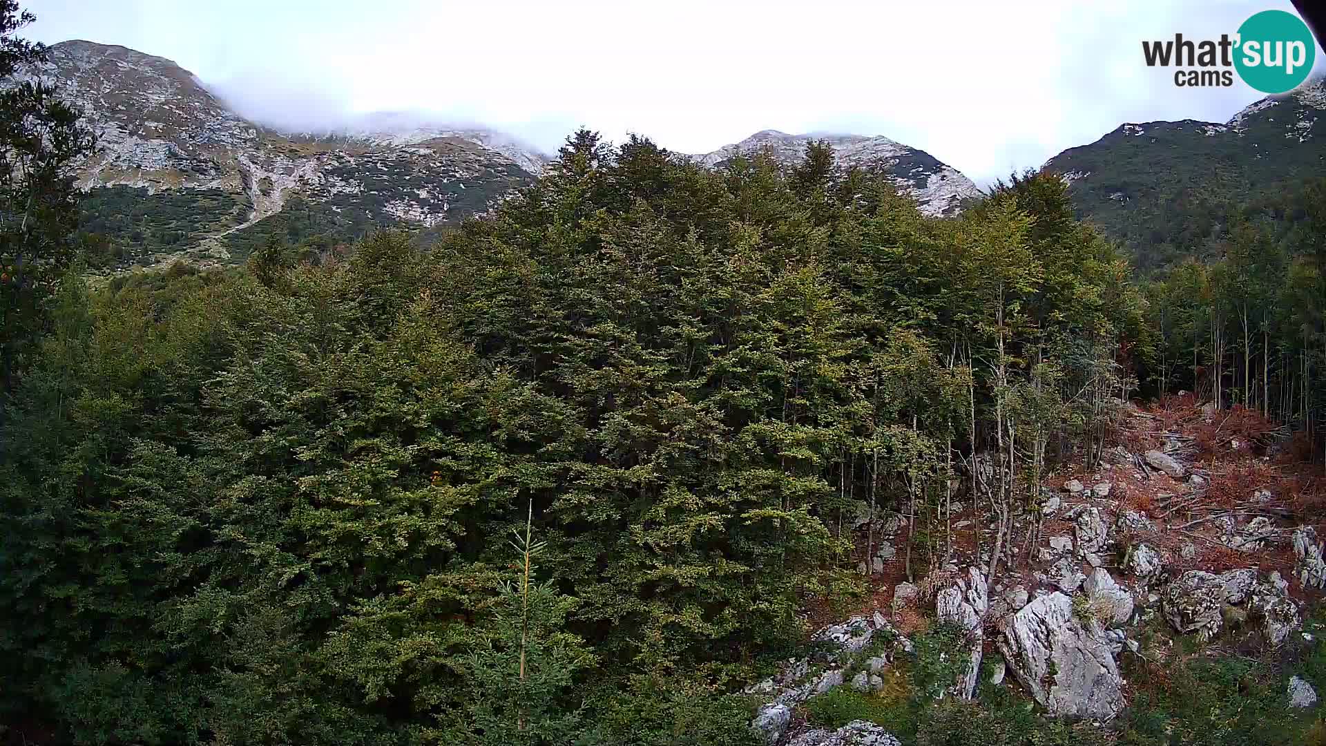 Webcam PLANINA RAZOR (1315) | Blick auf Vogel und Globoko