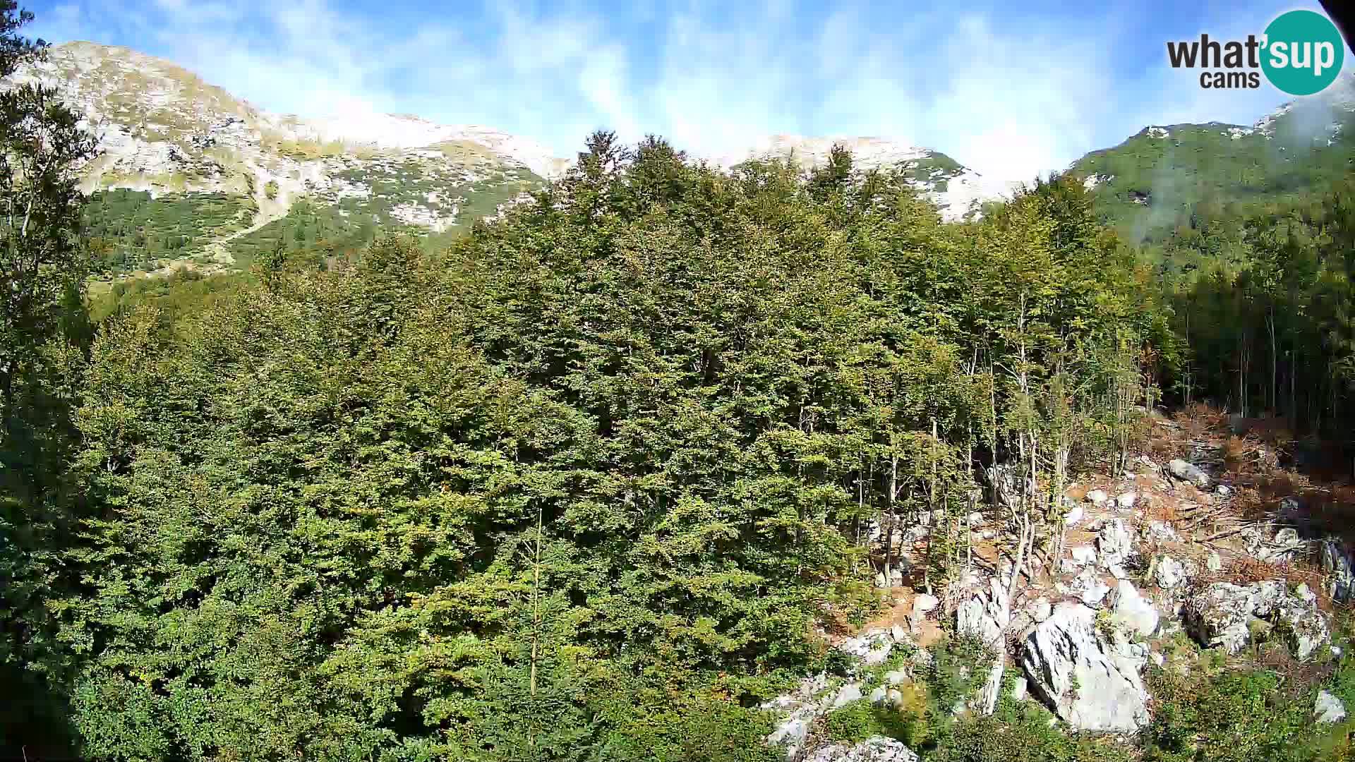 PLANINA RAZOR web kamera (1315) | pogled na Vogel i Globoko