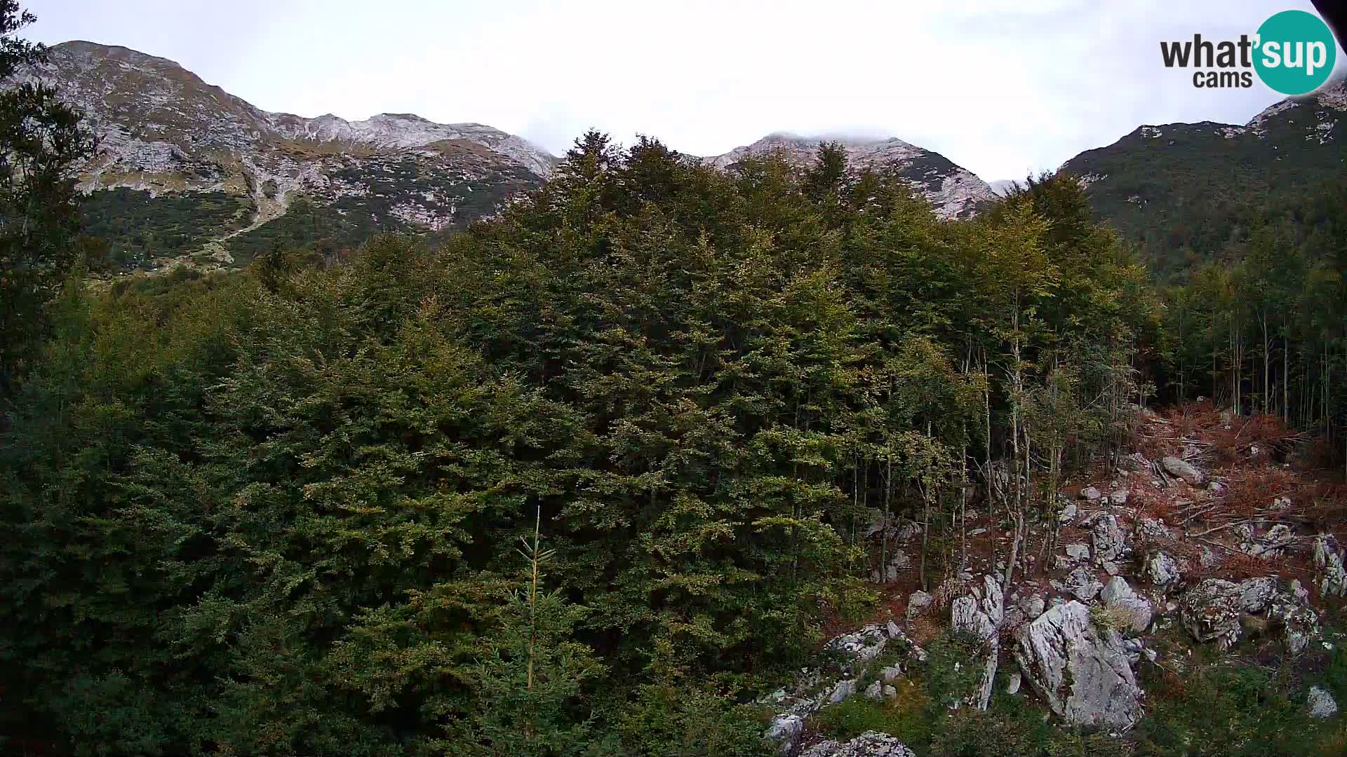 PLANINA RAZOR web kamera (1315) | pogled na Vogel i Globoko