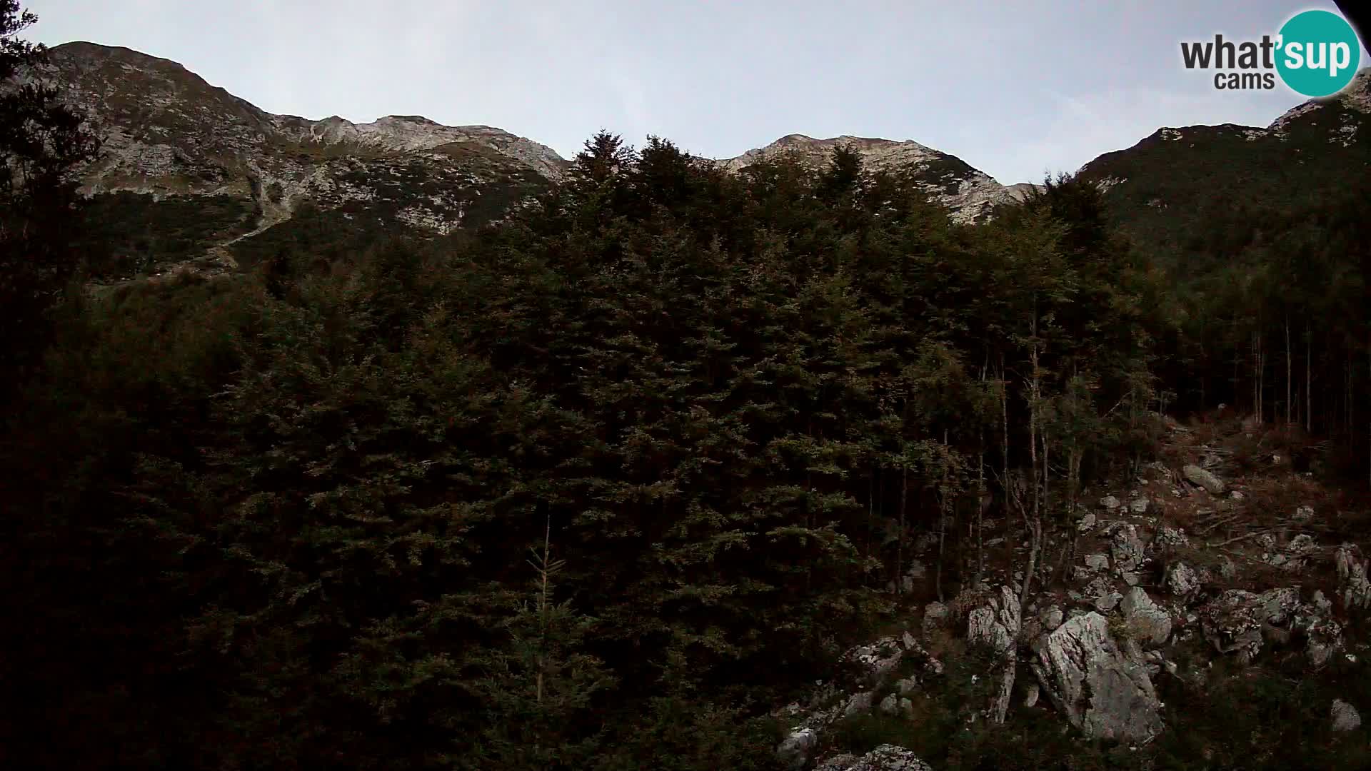 Livecam PLANINA RAZOR (1315) | vue sur Vogel et Globoko