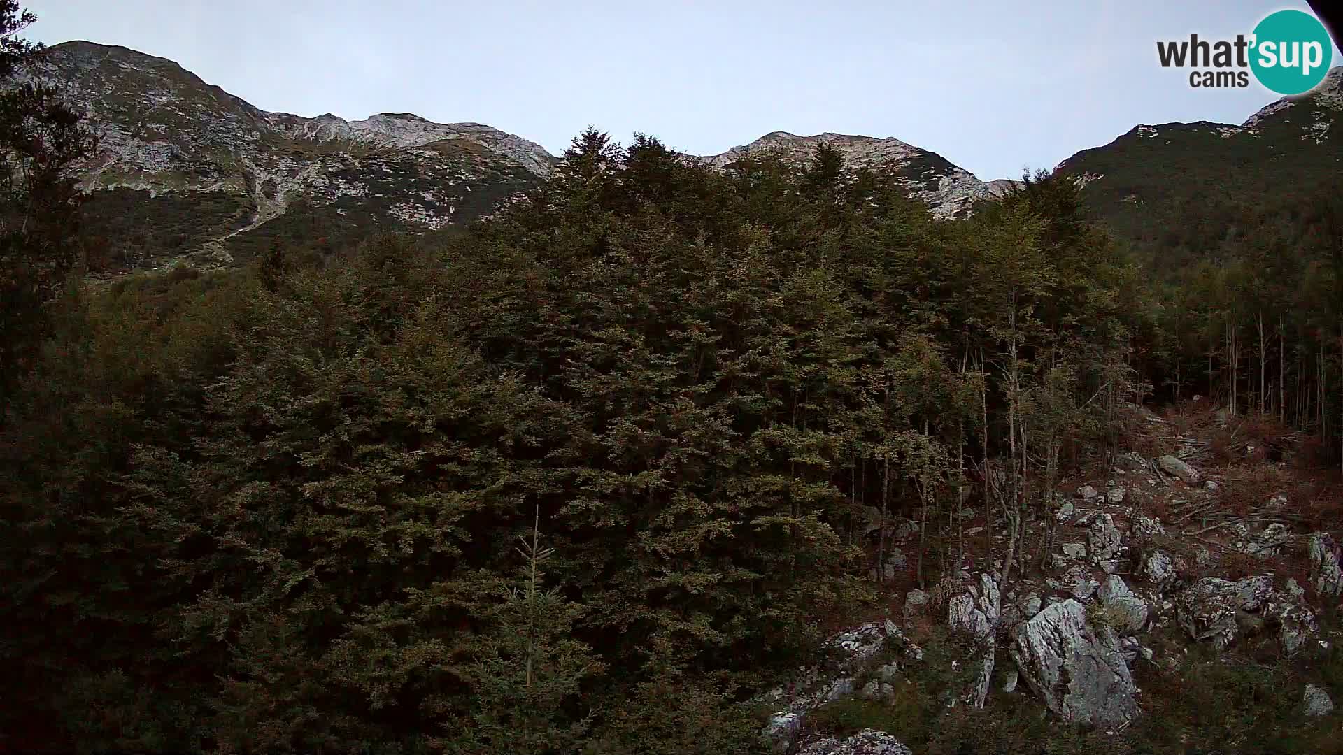 Webcam PLANINA RAZOR (1315) | Blick auf Vogel und Globoko