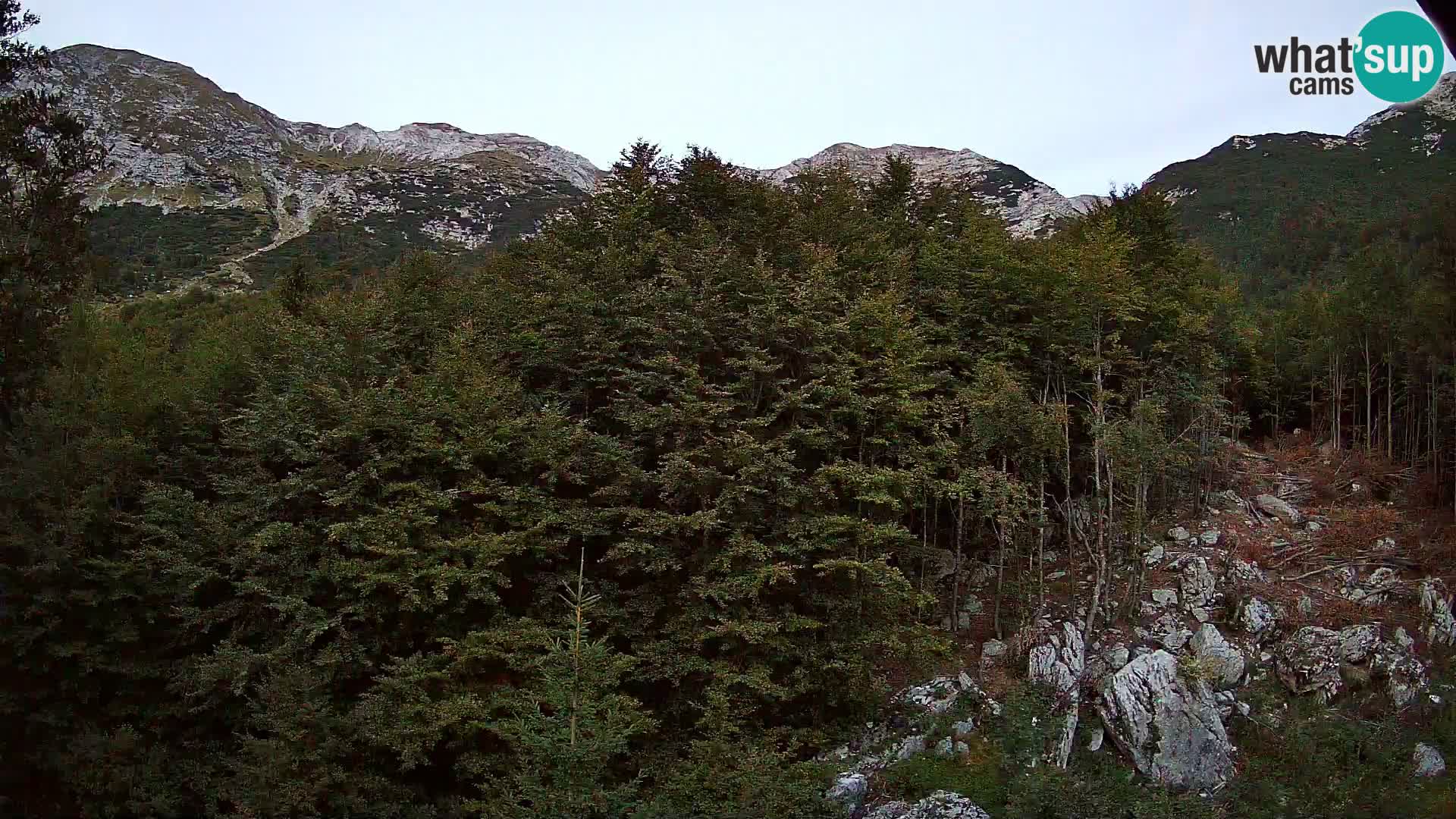 Webcam PLANINA RAZOR (1315) | Blick auf Vogel und Globoko