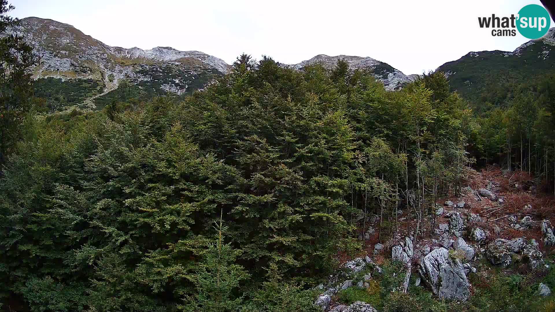 Livecam PLANINA RAZOR (1315) | vue sur Vogel et Globoko