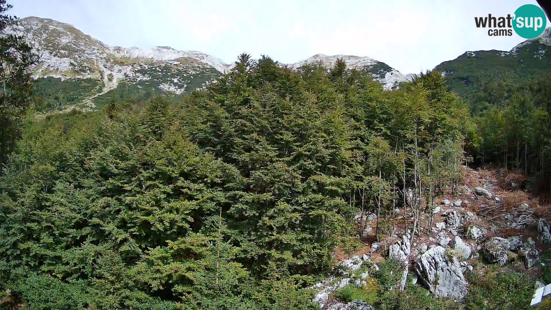 Webcam PLANINA RAZOR (1315) | Blick auf Vogel und Globoko