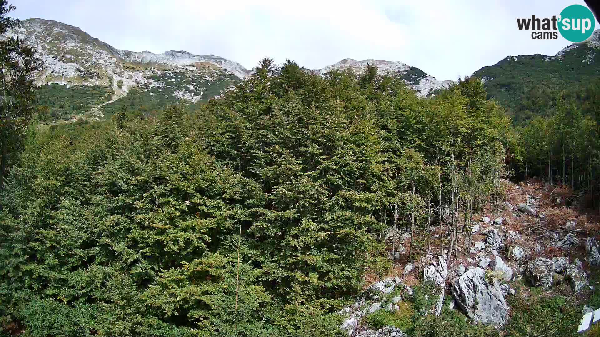 Webcam PLANINA RAZOR (1315) | Blick auf Vogel und Globoko