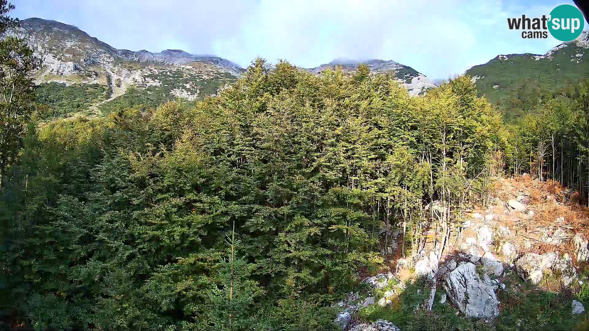 Livecam PLANINA RAZOR (1315) | vue sur Vogel et Globoko