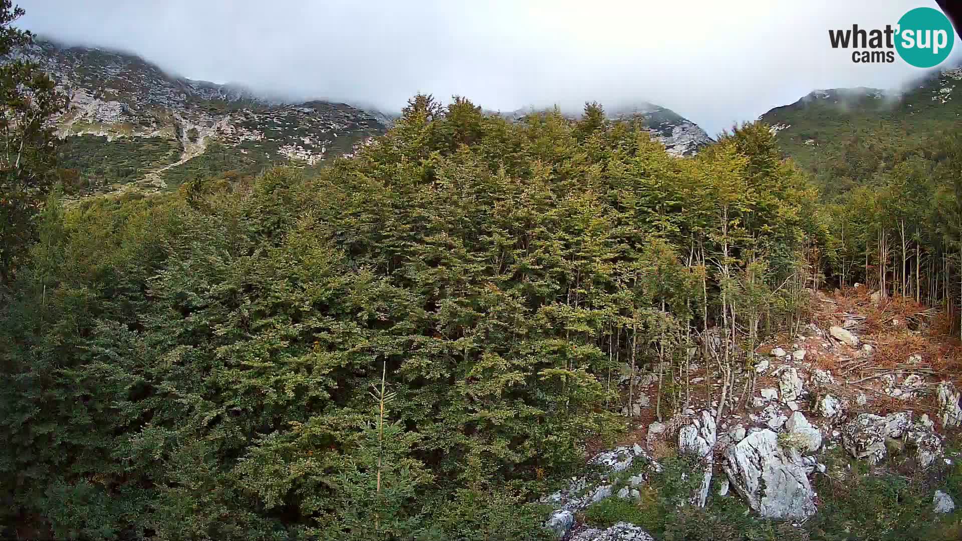 PLANINA RAZOR webcam (1315) | view to Vogel and Globoko