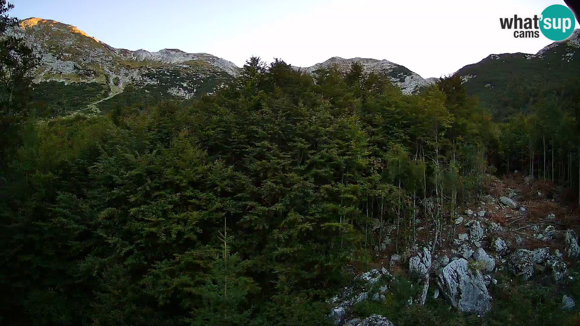 Livecam PLANINA RAZOR (1315) | vue sur Vogel et Globoko