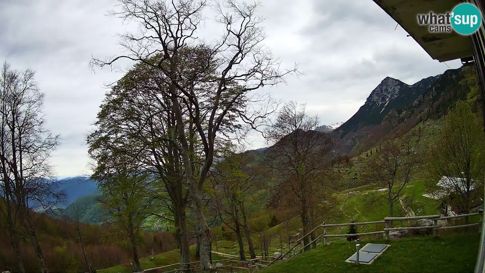Planina Razor Bergütte Webcam (1315) | Blick auf Tolminski Migovec