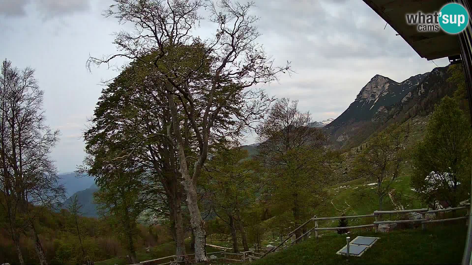 Koča na Planini Razor spletna kamera (1315) | Pogled na Tolminski Migovec