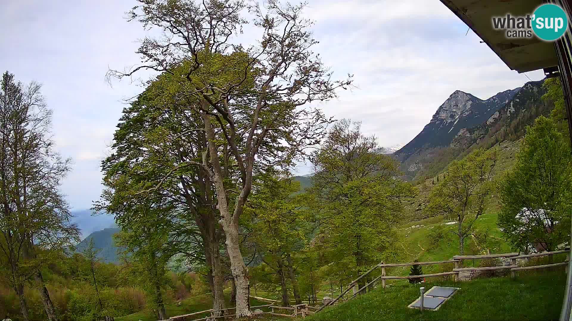Planina Razor Mountain Hut live cam (1315) | view to Tolminski Migovec