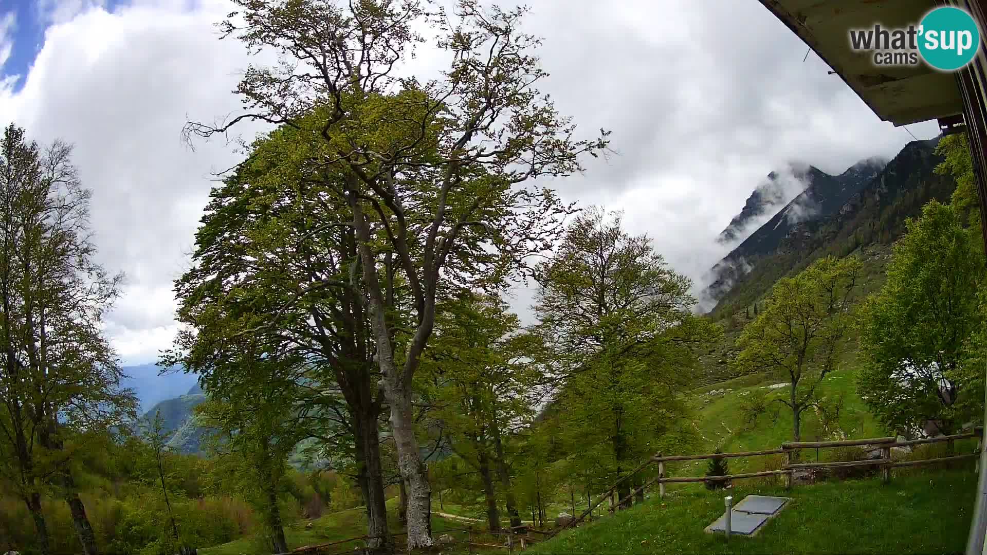 Koča na Planini Razor spletna kamera (1315) | Pogled na Tolminski Migovec