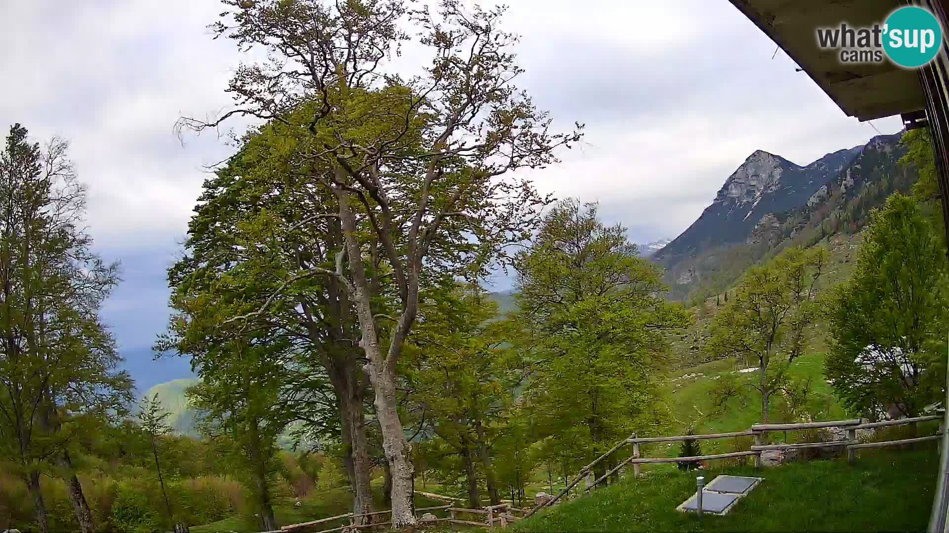 Refuge de la montagne Planina Razor caméra en direct (1315) | vue sur Tolminski Migovec