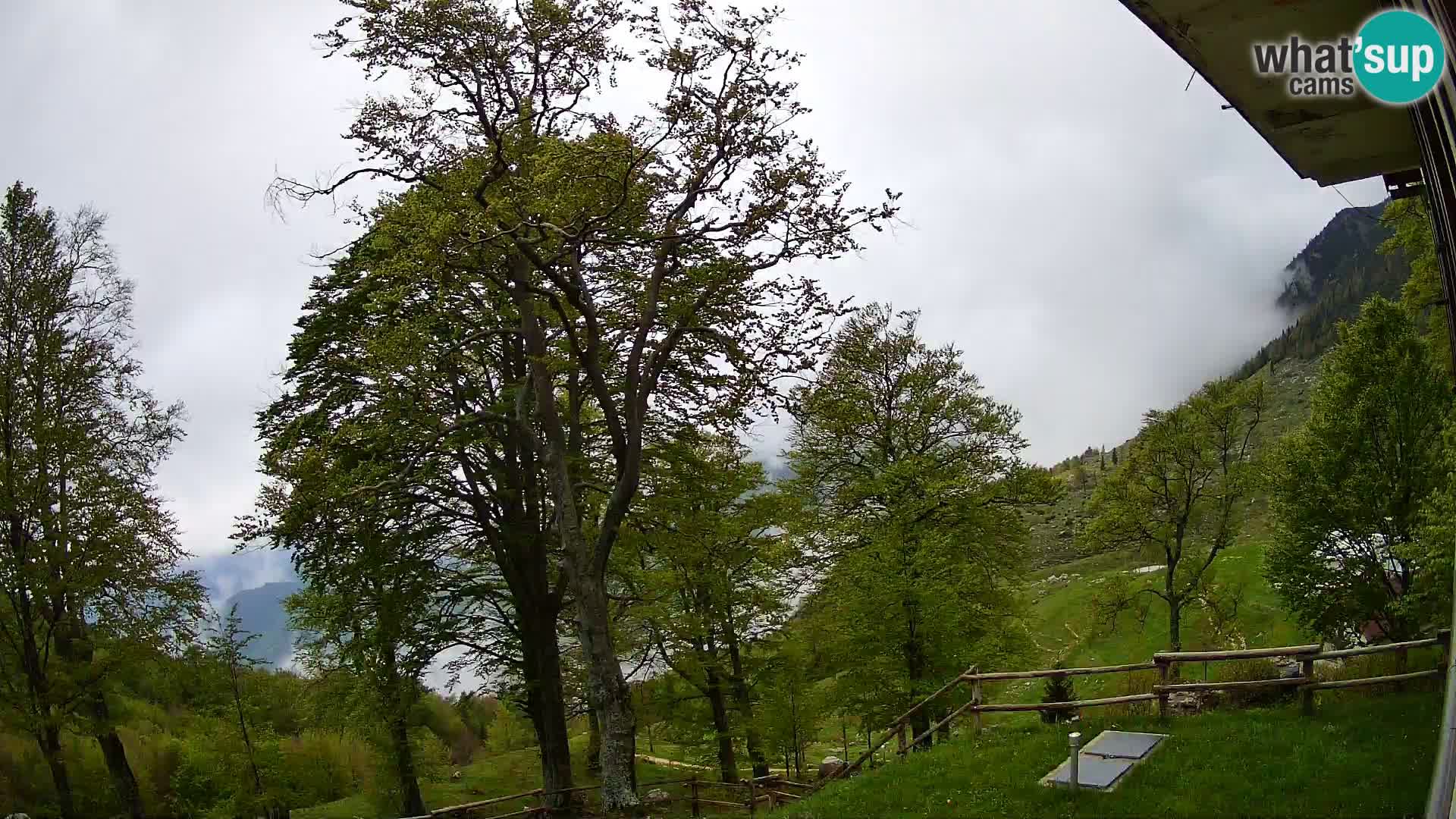 Planina Razor Bergütte Webcam (1315) | Blick auf Tolminski Migovec