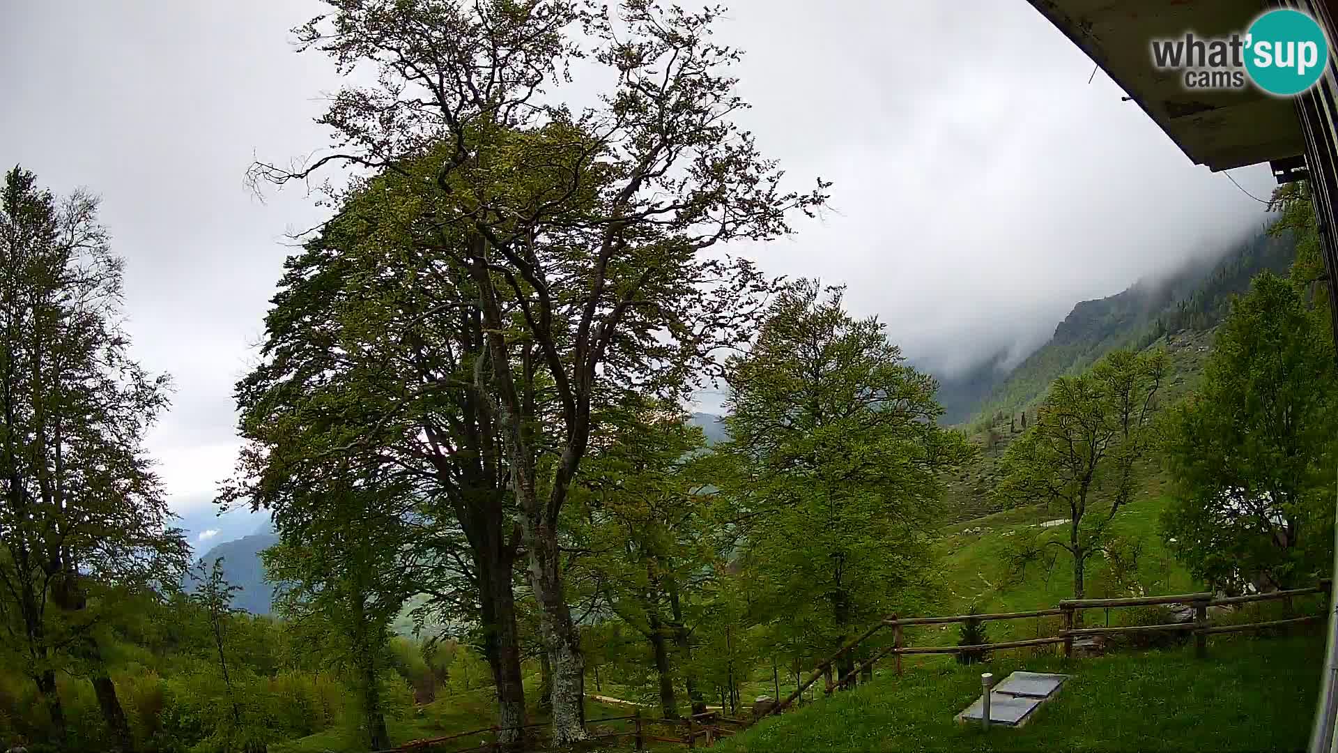 Planina Razor Mountain Hut live cam (1315) | view to Tolminski Migovec