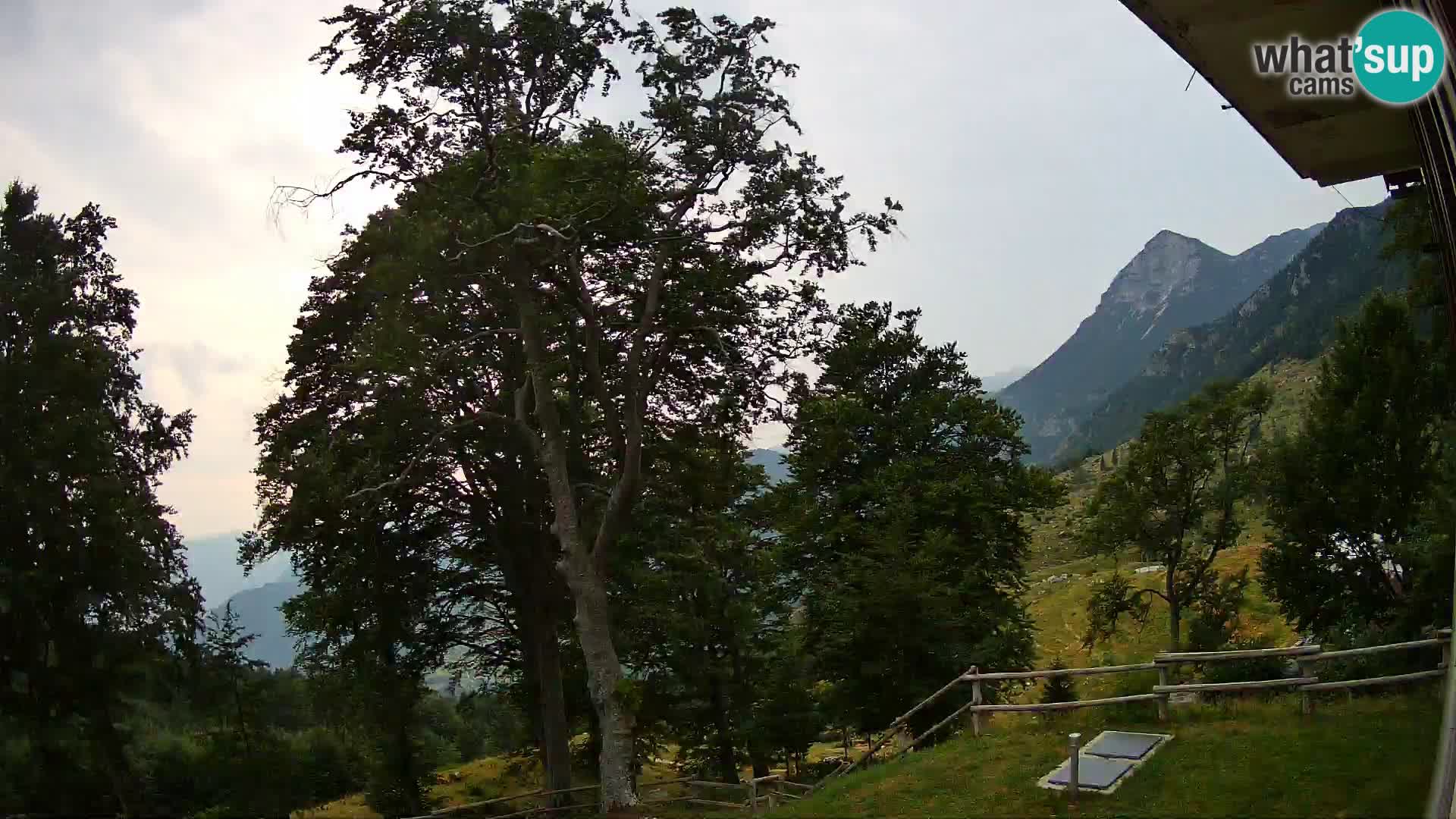 Cámara en vivo de la cabaña de montaña Planina Razor (1315) | vista hacia Tolminski Migovec